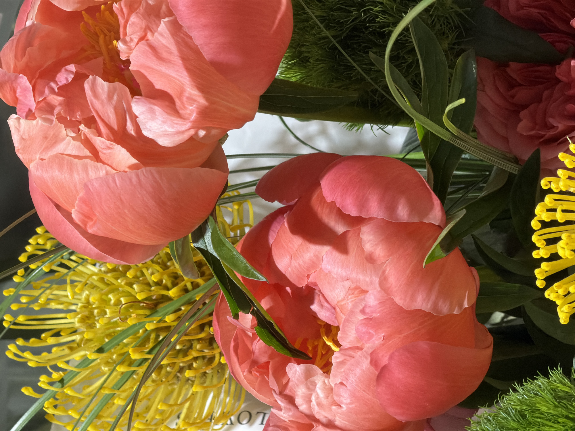 The image shows a close-up of a floral arrangement. Dominating the view are two large, open coral-colored peony blossoms, positioned towards the left and center of the frame. The peonies exhibit multiple layers of petals and subtle shading, indicating a soft, textured surface. Interspersed among the peonies are accents of yellow Pincushion Protea and green foliage. The overall composition suggests a natural, organic arrangement, with a balance of color and texture. There is no evidence to place the origin in Bishkek City, Kyrgyzstan.