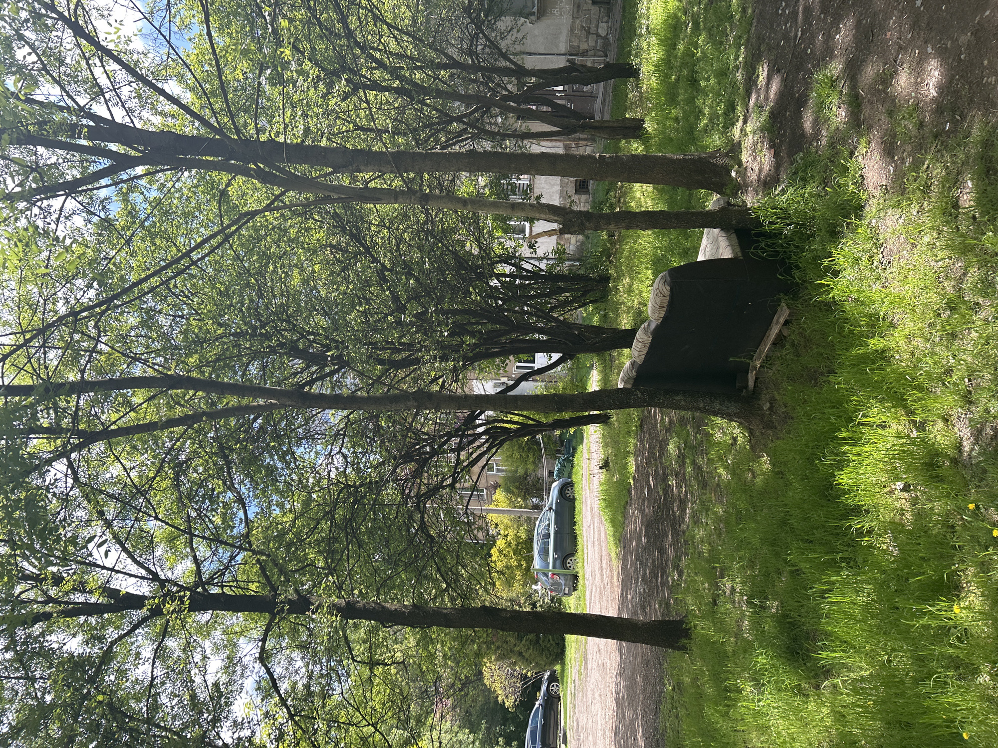 The image shows a tree-lined path in Sofia, Bulgaria. The path is dirt and has grass on either side. There is a bench on the right side of the path, positioned between two trees. Several parked cars are visible in the distance. Buildings can be seen behind the trees. The trees have green leaves, suggesting it is likely spring or summer. The overall lighting suggests it is daytime.