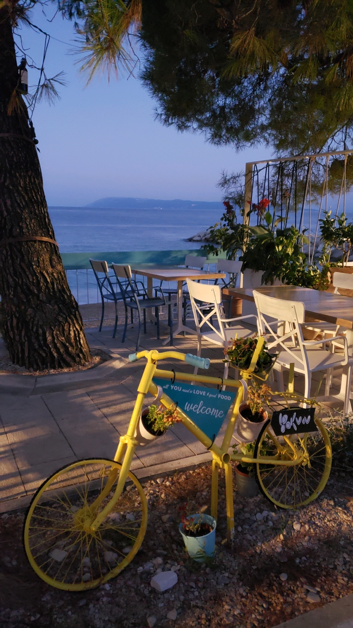 The photograph captures a tranquil outdoor seating area of a restaurant situated in Općina Tučepi, Croatia. In the foreground, a vibrant yellow bicycle serves as a decorative element, adorned with potted plants and a sign that reads "all you need is LOVE & good FOOD welcome". The bicycle is positioned on a paved surface, with a rocky and sandy area surrounding it. Beyond the bicycle, several tables and chairs are arranged on a patio, suggesting a dining or lounge space. In the background, the deep blue waters of the Adriatic Sea stretch out to the horizon, meeting a clear, pale blue sky. The coastline is visible in the distance, with hints of buildings and natural landscape. The scene is illuminated by the soft, warm light of either sunrise or sunset, casting gentle shadows and highlighting the textures of the tree bark on the left and the foliage. A large tree with rough bark stands prominently on the left side of the frame, its branches extending overhead, adding to the natural ambiance of the setting. The overall impression is one of a peaceful and inviting establishment, likely a cafe or restaurant, offering scenic views of the sea.