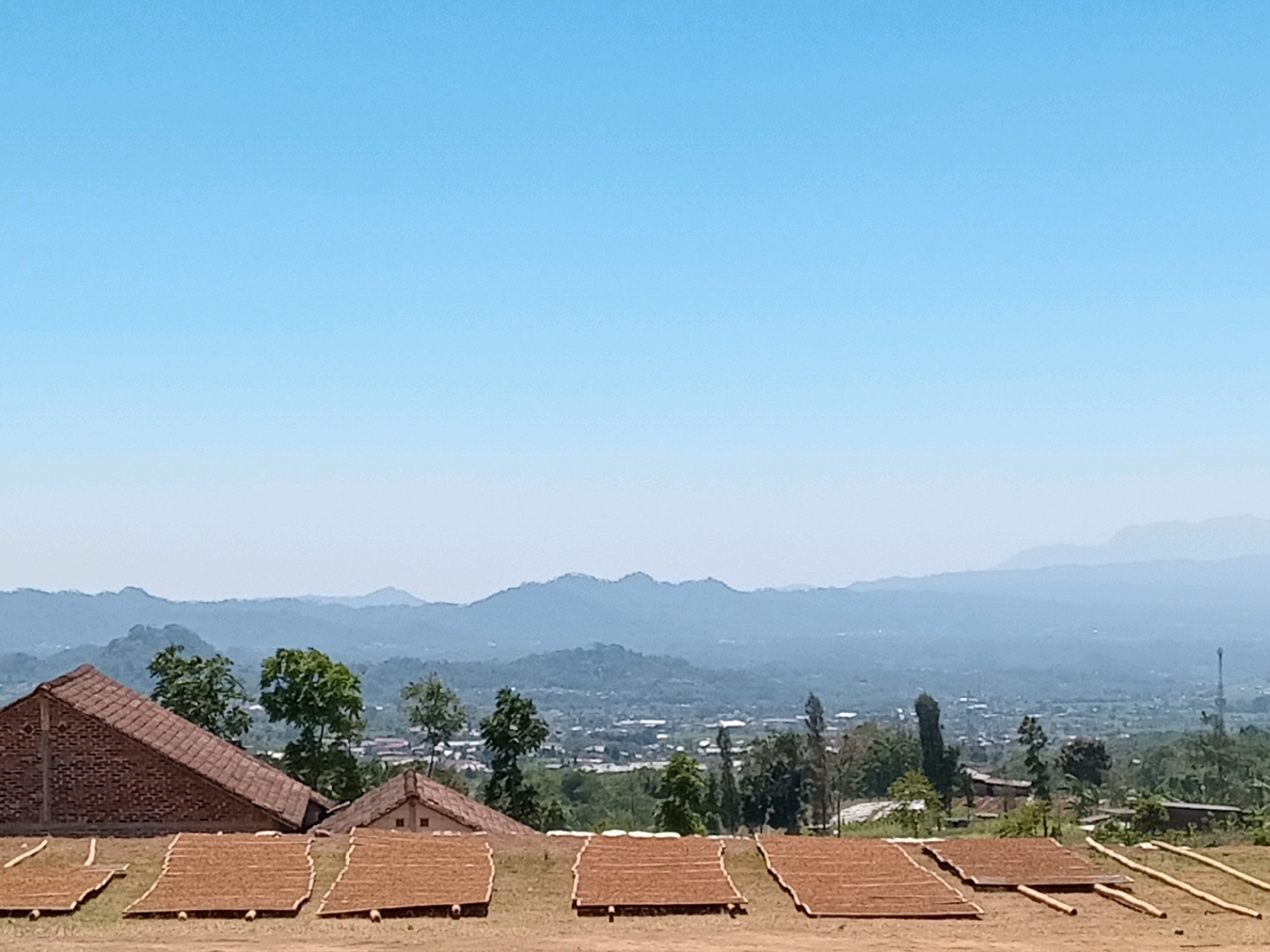 This is a wide shot of a rural landscape with a hazy blue sky. In the foreground, several rows of drying tobacco leaves are laid out on mats on the ground. To the left, there is a brick building with a red tile roof, and a smaller building with a similar roof is visible behind it. The middle ground features a scattering of trees and buildings, suggesting a small village or town. In the background, rolling hills and mountains fade into the haze, with a clear blue sky above. The scene appears to be in the city of Gandurejo, Indonesia, given the architectural style and the presence of drying tobacco, a common agricultural product in the region. No people are visible in the image.