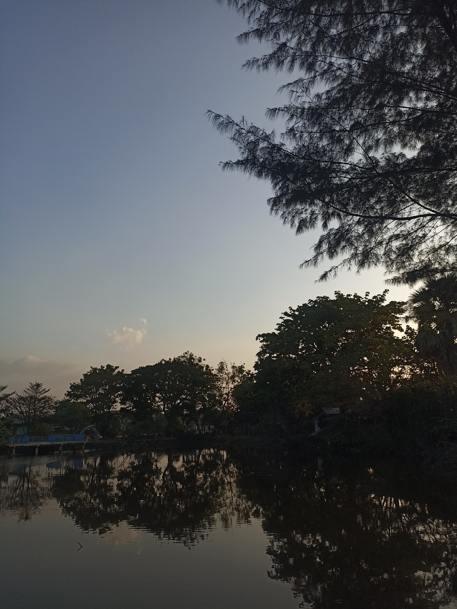 The image depicts a tranquil waterscape with reflections of trees and a clear sky. In the foreground, a dark body of water dominates the lower half of the frame. The surface of the water is relatively still, with faint ripples suggesting a gentle breeze. Reflections of trees and structures are visible on the water's surface, appearing as dark, elongated shapes.
In the midground, a line of trees forms a dense foliage barrier along the bank of the water. These trees are dark green and appear to be a mix of deciduous and possibly palm trees. Among the trees, there are hints of man-made structures, including a blue-railed walkway or bridge extending over the water from the left side of the frame. Small, simple buildings with thatched or corrugated roofs are partially visible nestled within the trees.
The background consists of a vast, pale blue sky with a gradient towards a lighter shade near the horizon. A few wispy clouds are present, catching the soft light. In the upper right portion of the image, the silhouette of the branches of a large tree with needle-like leaves is prominent, partially obscuring the sky.
The overall impression is one of a peaceful natural setting, possibly a park or a quiet residential area near a body of water, at either sunrise or sunset, given the soft lighting and the color of the sky. The location is identified as Dapur, Indonesia.