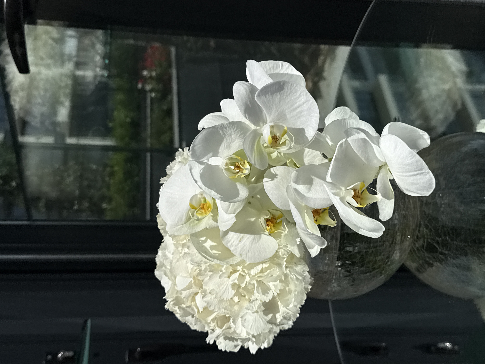 The image captures a vibrant floral arrangement featuring pristine white flowers, set against a reflective glass surface, possibly a car windshield or a building window. The main subjects are several delicate white Phalaenopsis orchids, distinguished by their yellow and light brown centers, artfully arranged above a large, spherical cluster of smaller, densely packed white flowers, which appear to be carnations or hydrangeas.
The background is dominated by blurred reflections on the glass, showing distorted outlines of buildings, green foliage, and possibly distant structures, indicating an urban or suburban environment. The dark framing around the glass suggests it could be a vehicle's window or a shop display. The flowers are held in clear, possibly glass, spherical containers that also show reflections and some internal texture.
The scene is brightly lit by natural sunlight, casting gentle shadows and emphasizing the fresh, crisp whiteness of the petals, suggesting it is daytime. The weather appears sunny and clear. The overall impression is one of elegance, purity, and freshness. No people are visible in the image, and there is no discernible text. This floral display is observed in Sofia, Bulgaria.