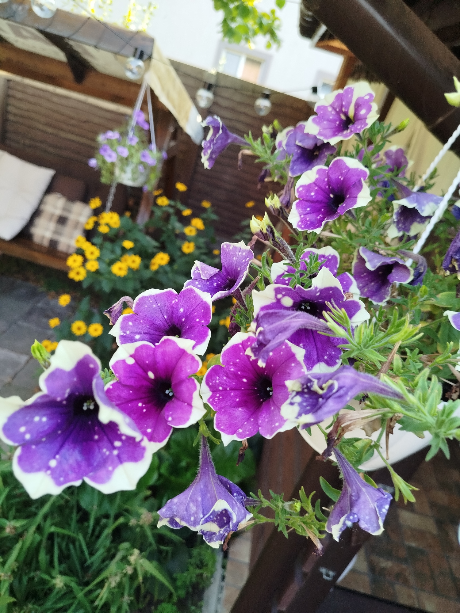 This is a close-up, eye-level, outdoor photograph taken during daylight hours, featuring a cluster of purple and white petunia flowers with speckled patterns. The flowers are in full bloom and are the primary subject of the image. In the background, out of focus, is a wooden structure that appears to be part of a pergola or gazebo, with a hanging light string overhead. A swing with cushions is visible to the left, and a patch of yellow flowers is behind the petunias. The overall setting suggests a garden or patio area in Poroskoten', Ukraine, likely a residential backyard or a public garden.