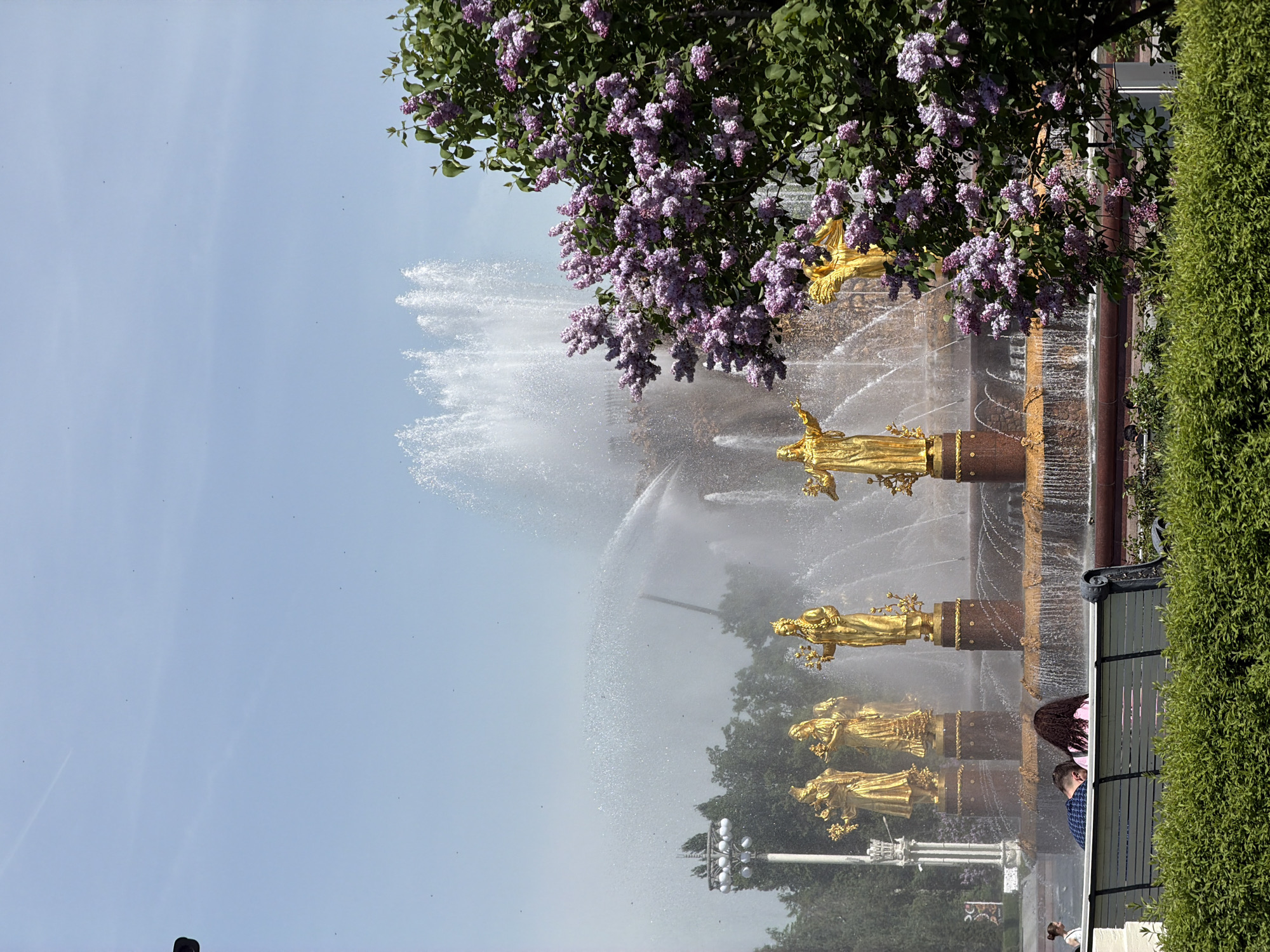 The image depicts a multi-tiered fountain with golden statues in Moscow, Russia, with purple flowers in the upper right corner. The fountain sprays water high into the air. Along the bottom of the image, obscured by the mist, are multiple people. To the right is a dark wooden bench, with a hedge visible next to it. A clear sky is in the upper left.