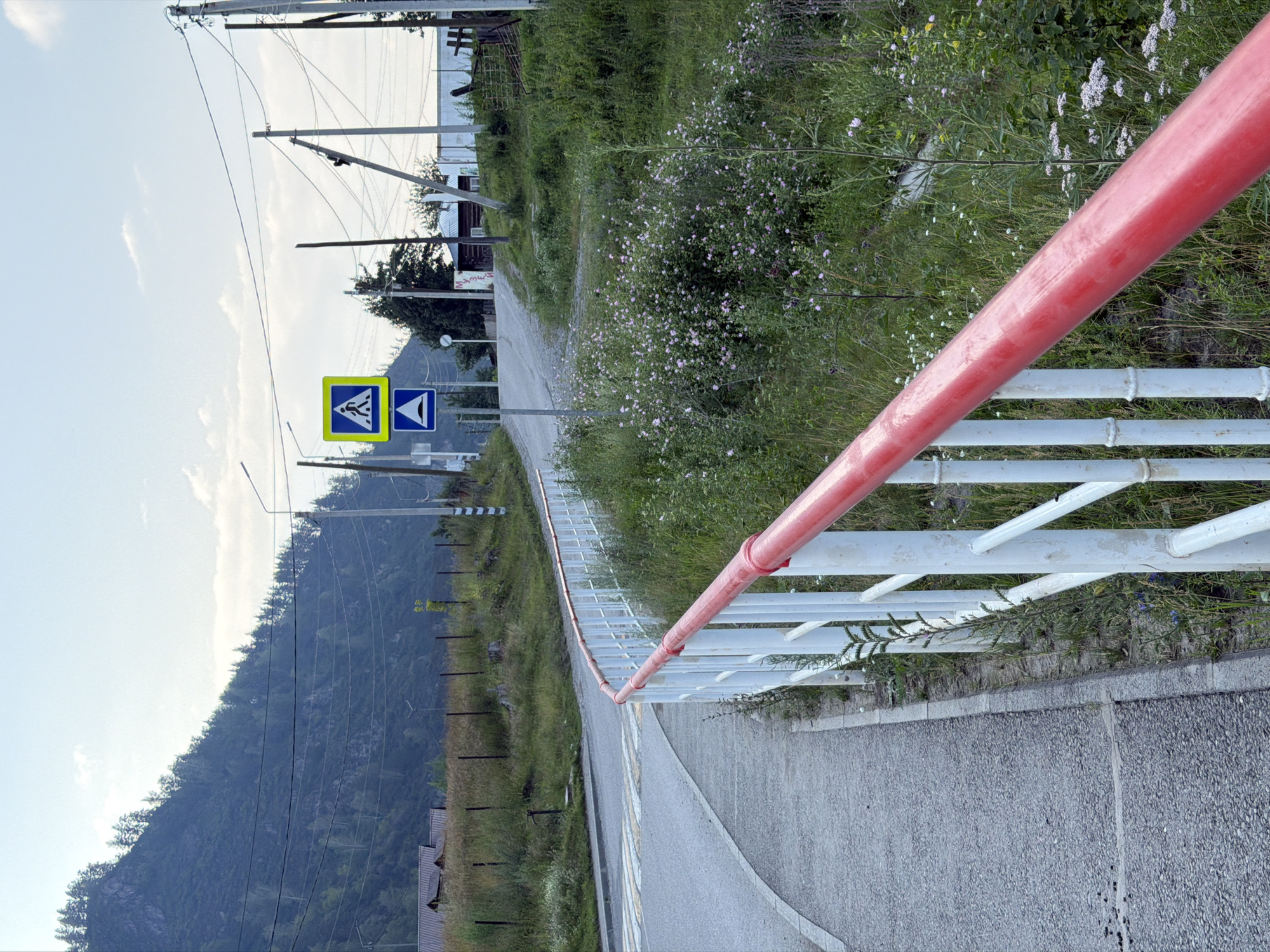 The image captures a rural scene in Anos, Russia, with a focus on a pedestrian walkway and its surrounding environment. A concrete walkway curves to the left, bordered by a white metal railing with a red top rail. Beyond the railing, overgrown grass and various wildflowers, predominantly small pink and white blossoms, fill the space. In the background, a paved road with a pedestrian crossing is visible, leading uphill towards a cluster of wooden buildings and a white fence. Two blue traffic signs are mounted on a pole near the road; one depicts a pedestrian crossing, and the other shows a triangular hazard symbol with a white wave, indicating a dip or uneven road surface. Power lines stretch across the scene, supported by utility poles, and a forested mountain slope forms the backdrop. The sky is partly cloudy with a clear, pale blue hue.