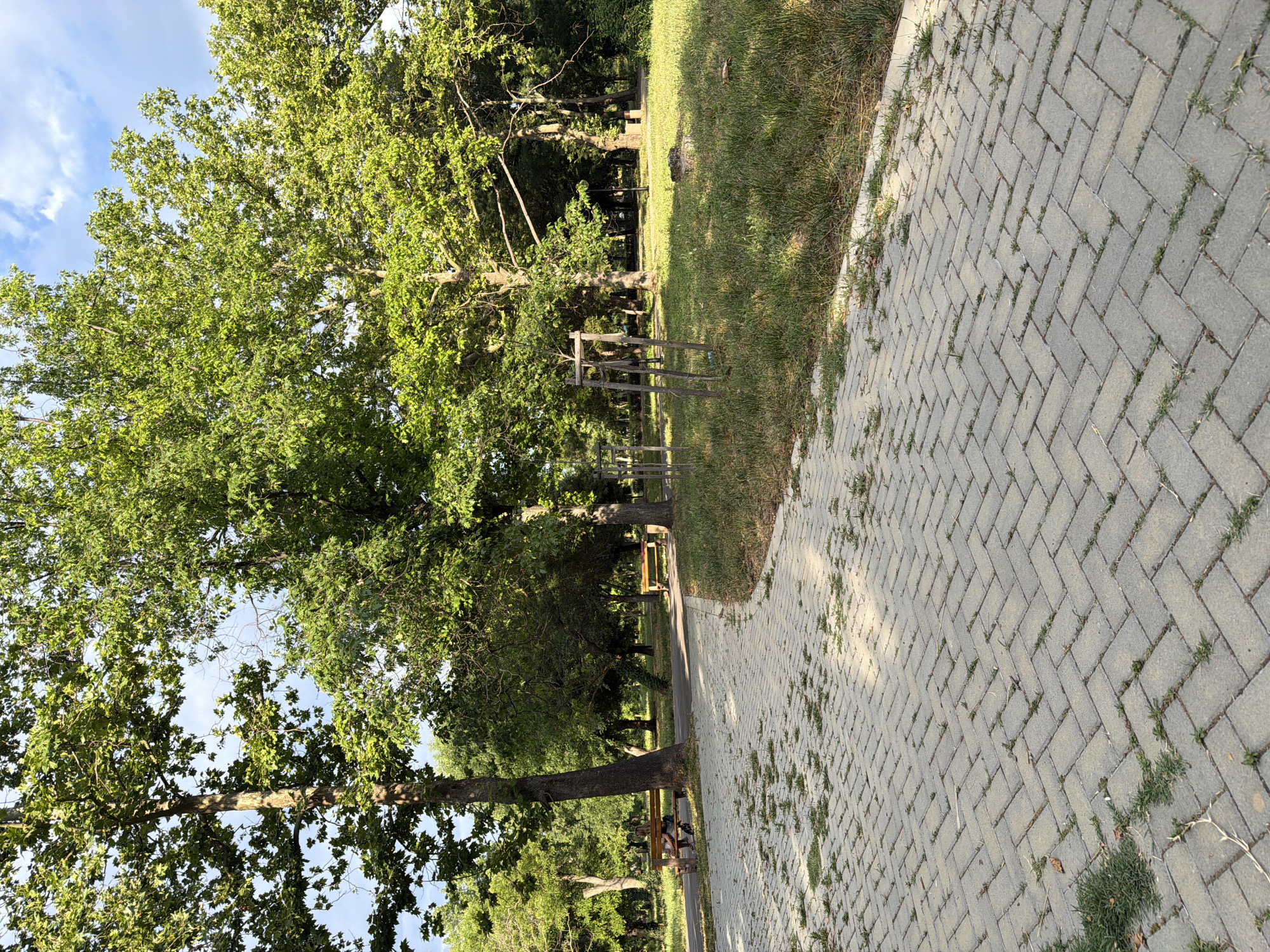 This image depicts a park scene in Burgas, Bulgaria, likely during daylight hours. In the foreground, a paved walkway with a herringbone pattern made of grey interlocking bricks is visible. Small patches of grass and debris are growing through the gaps in the bricks. The walkway curves to the right and leads into a larger park area.
To the left of the walkway, several large trees with lush green foliage dominate the scene, casting dappled shadows on the ground. In the middle ground, a wooden park bench is situated, with a person sitting on it. Further into the park, another similar bench is visible. The park features a large expanse of green grass, interspersed with more trees and some young saplings supported by wooden stakes. The sky above is partly cloudy with a blue hue. The overall environment suggests a well-maintained public park, possibly a place for relaxation and recreation.