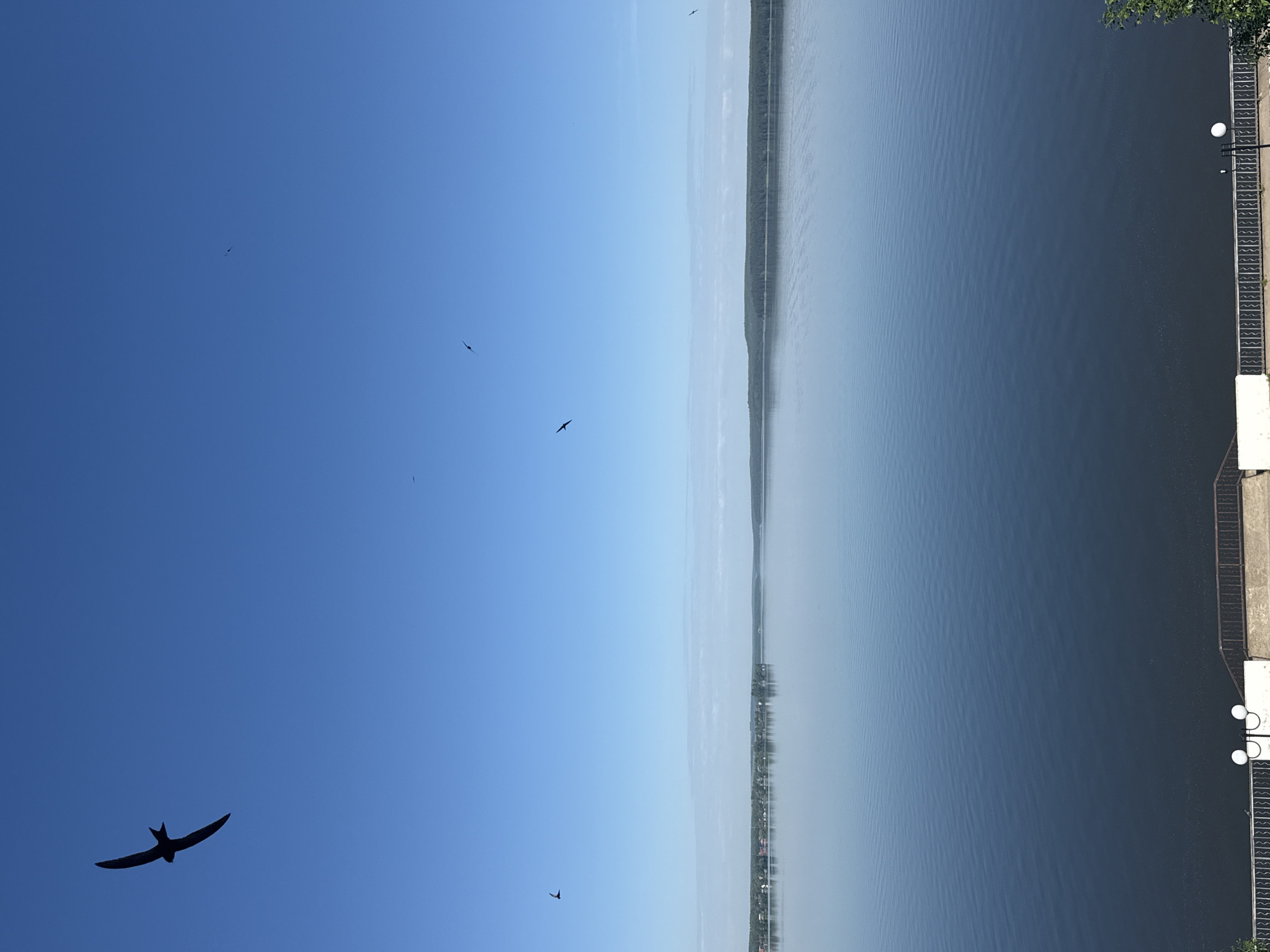 A wide, calm, dark blue body of water stretches across the bottom two-thirds of the image, reflecting the clear blue sky. On the far side of the water, a distant, tree-covered shoreline is visible, with a thin strip of pale clouds above it. In the upper portion of the image, the sky is a bright, cloudless blue. Several small, dark silhouettes of birds are seen in flight against the sky. In the foreground, at the bottom of the image, a dark metal railing and a white concrete structure are visible, suggesting a promenade or viewing area overlooking the water. The scene appears to be the Votkinsk Reservoir in Votkinsk, Russia, on a clear day.