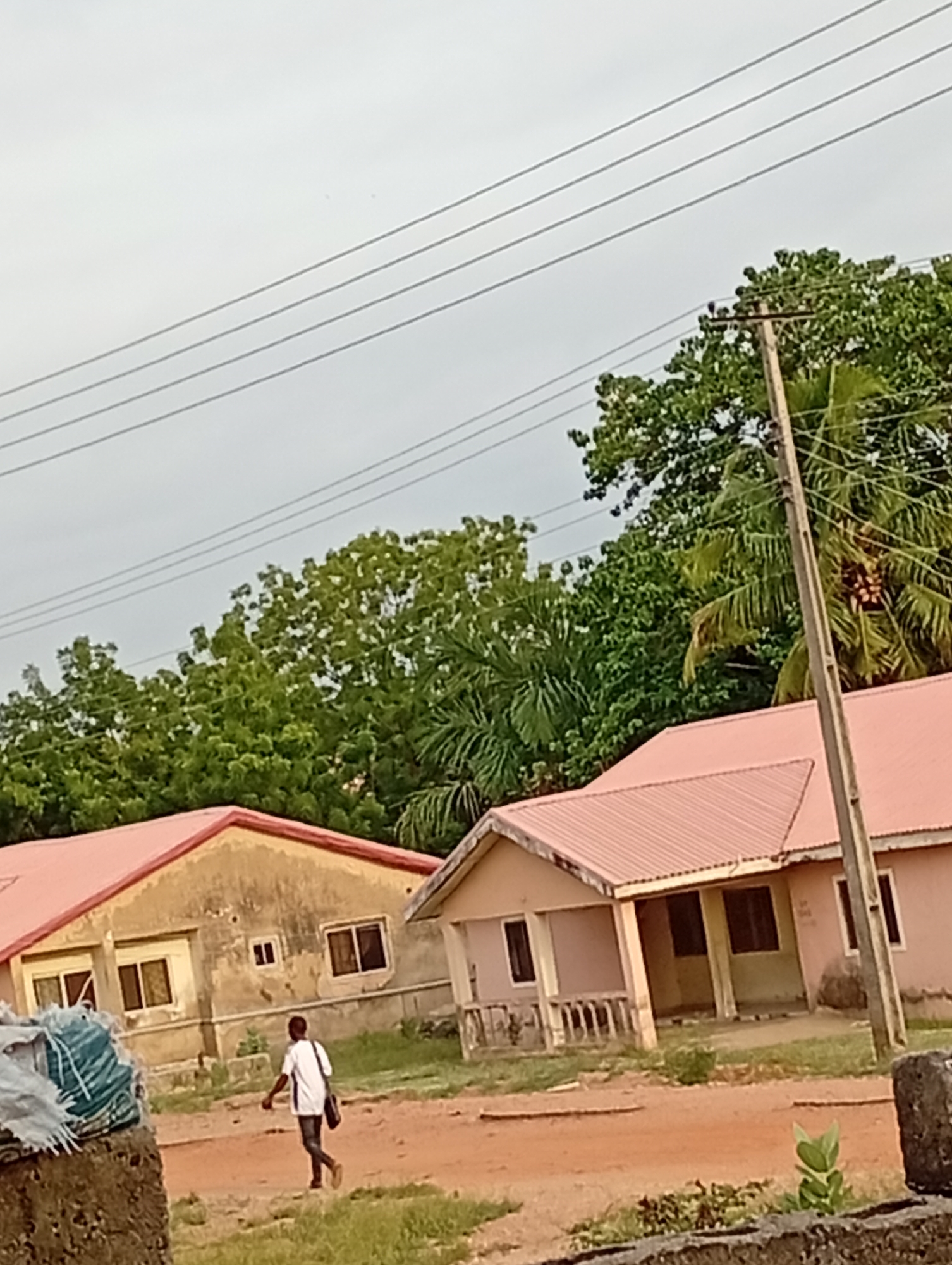 A man walks on a red dirt road in Adankolo, Nigeria, near two single-story buildings with pink roofs. The building on the left is weathered and the building on the right has a small porch. A utility pole stands near the right building. Overheard are power lines and lush trees.