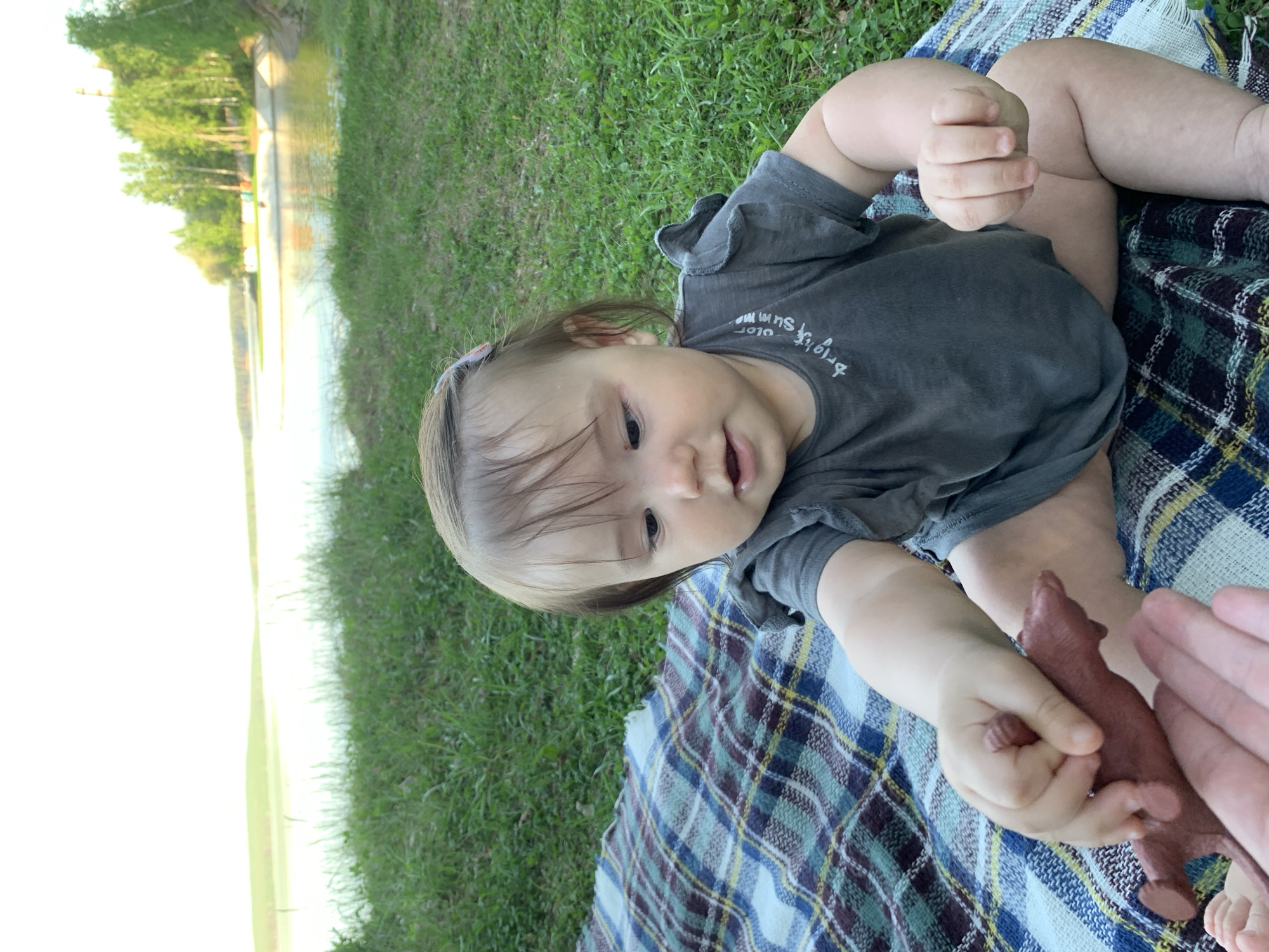 A baby sits on a plaid blanket on green grass. The baby wears a gray t-shirt and holds a small, brown plastic animal. In the background is a body of water and trees. The location is most likely in the city of Chaikovsky, Russia.