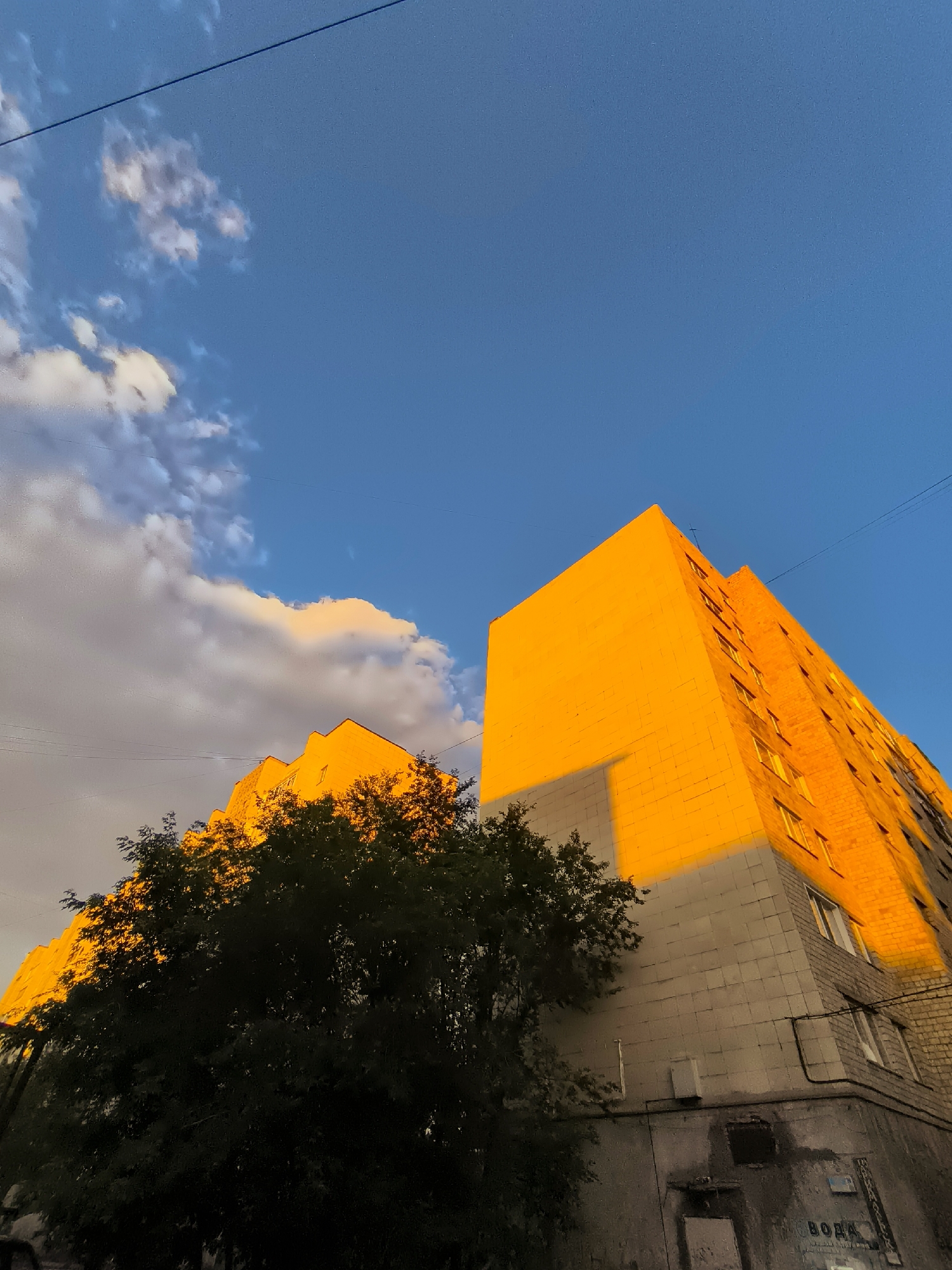 An exterior, low-angle, eye-level shot captures the side of a multi-story building illuminated by golden sunset light. The building's facade is constructed with light-colored brick on the lower portion and a rougher, lighter stone-like material on the upper portion, with visible windows. A large, dark green tree with dense foliage occupies the left side of the frame, partially obscuring the lower part of the building. The sky above is a clear, vibrant blue with a few scattered, white clouds tinged with orange and pink hues from the setting sun. Electrical wires are visible stretched across the sky. The image appears to be taken in a city environment, given the presence of the apartment building and utility wires.