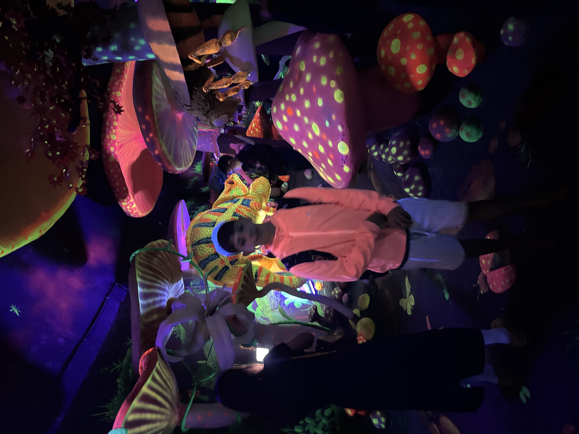 In Binh Lu, Vietnam, a brightly lit indoor space is adorned with large, colorful mushroom decorations in hues of pink, orange, yellow, and purple, many featuring polka dots. A child wearing an orange jacket and light-colored pants stands near a large, striped mushroom. Other individuals are partially visible amidst the decorations. The environment is illuminated with what appears to be blacklights.