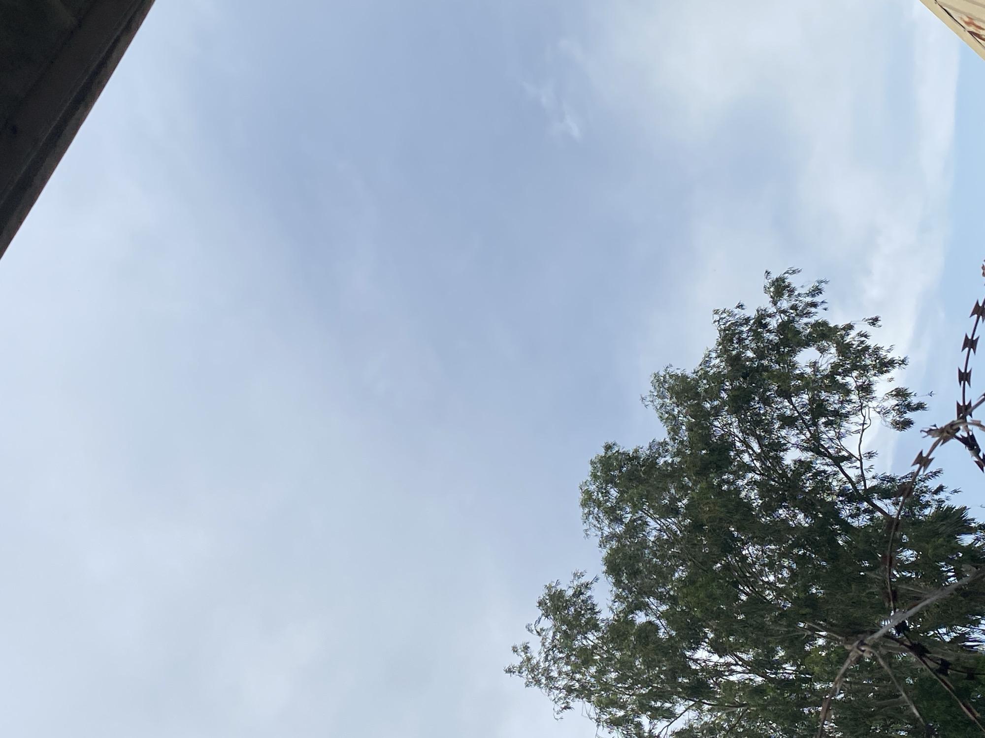 The image is a low-angle shot of a cloudy sky with a tree and barbed wire in the foreground. A concrete structure is visible in the upper left corner. The sky is a pale blue with wispy clouds, suggesting it is daytime. The tree is lush and green, with its branches reaching upwards. The barbed wire appears to be a security fence, with sharp barbs. The overall scene suggests an outdoor setting, possibly urban or rural, in Bukuru, Nigeria. There are no people or specific activities depicted. The lighting indicates it is likely daytime.