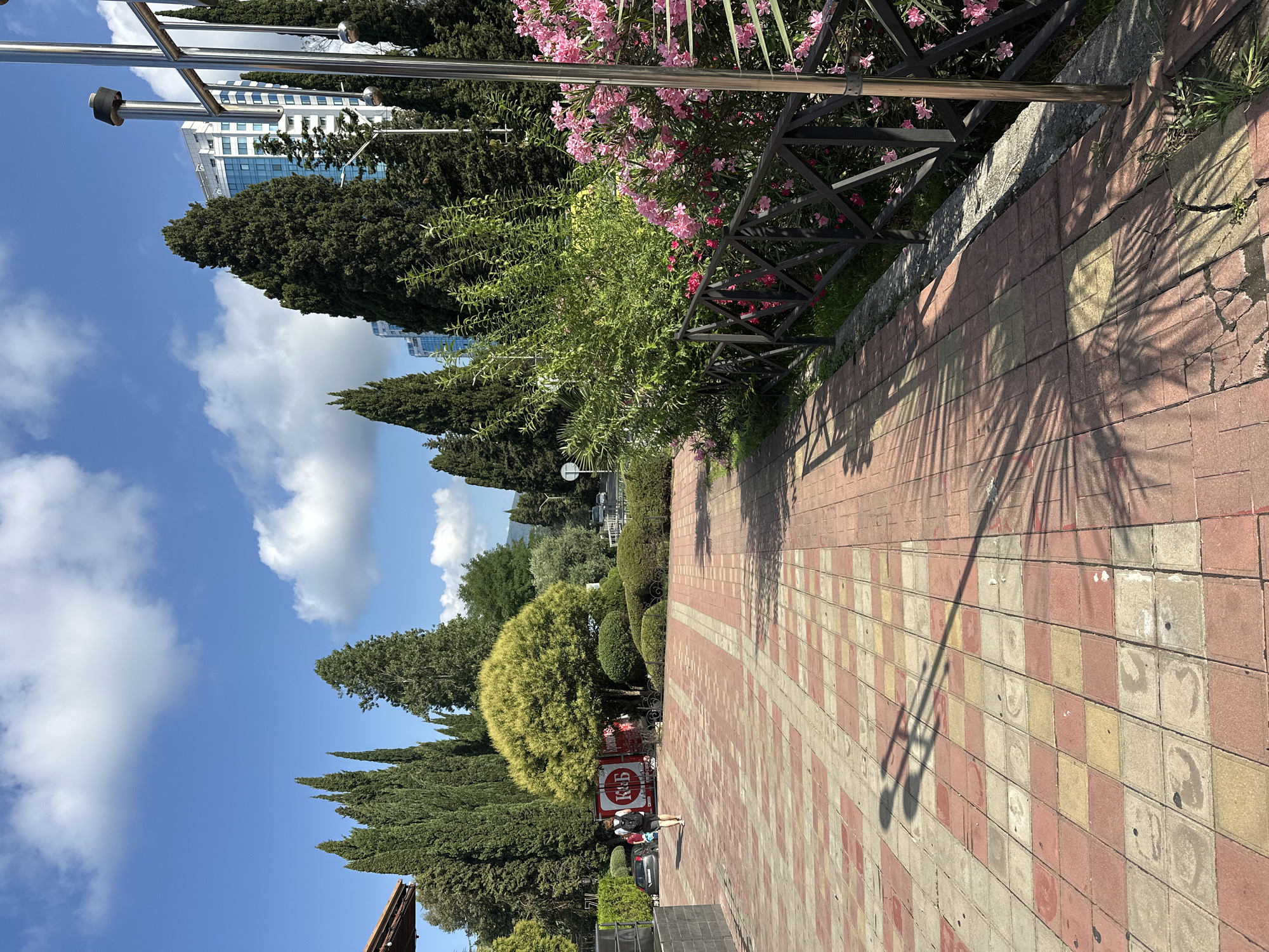 The image depicts a sunny day in Sochi, Russia, likely along a promenade or park area. A pedestrian walkway paved with reddish-pink and yellow rectangular tiles stretches into the distance, casting long shadows from palm fronds. A person with a backpack is walking away from the camera on the left side of the walkway, in front of a red and white truck with Russian lettering that reads "КБ" and what appears to be a logo. Flanking the walkway are lush green trees, including tall cypress trees and a rounded, bushy tree with yellow-green foliage. In the background, a modern, multi-story building with blue-tinted windows is visible amidst the trees. On the right side of the image, a black metal fence borders an area with vibrant pink flowering bushes. A tall, metallic pole with a silver cylindrical cap stands next to the fence, suggesting it might be part of a lighting or signage fixture. The sky is a clear blue with scattered white clouds.