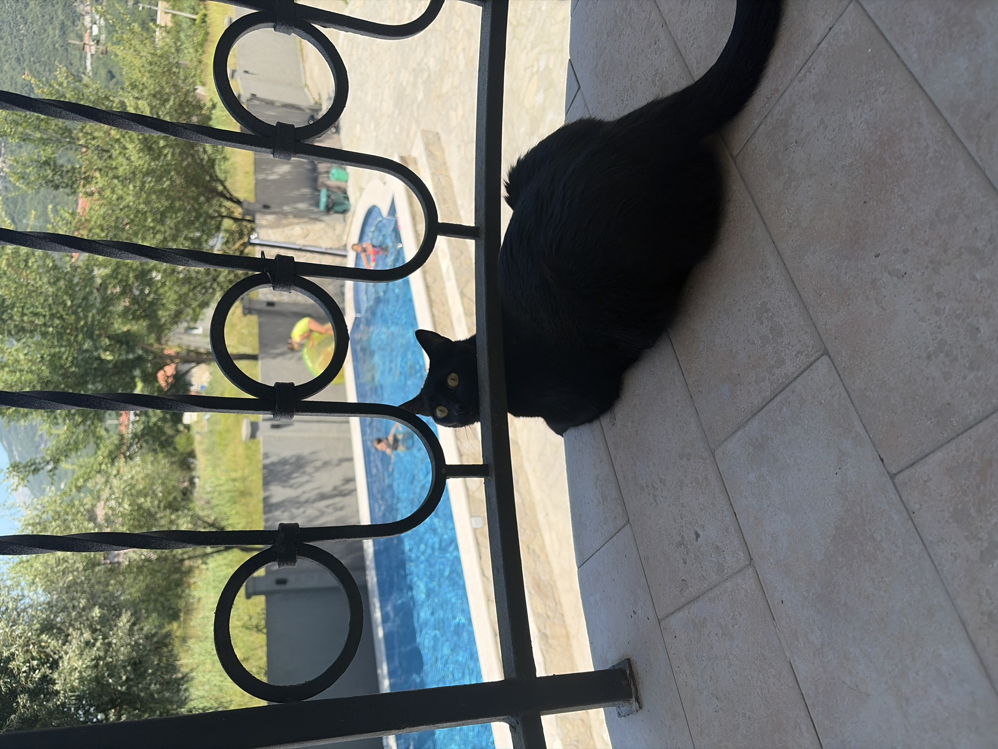 A black cat with yellow eyes is lying on a light-colored tiled patio, looking towards the camera. Behind the cat, a black wrought iron fence with decorative circular elements separates the patio from a blue swimming pool. In the pool, two people, one adult and one child, are visible swimming. The background shows lush green trees, a wall, and a mountainous landscape under a clear blue sky. The scene appears to be a residential outdoor area in Lastva Grbaljska, Montenegro, possibly a backyard or balcony overlooking a pool.