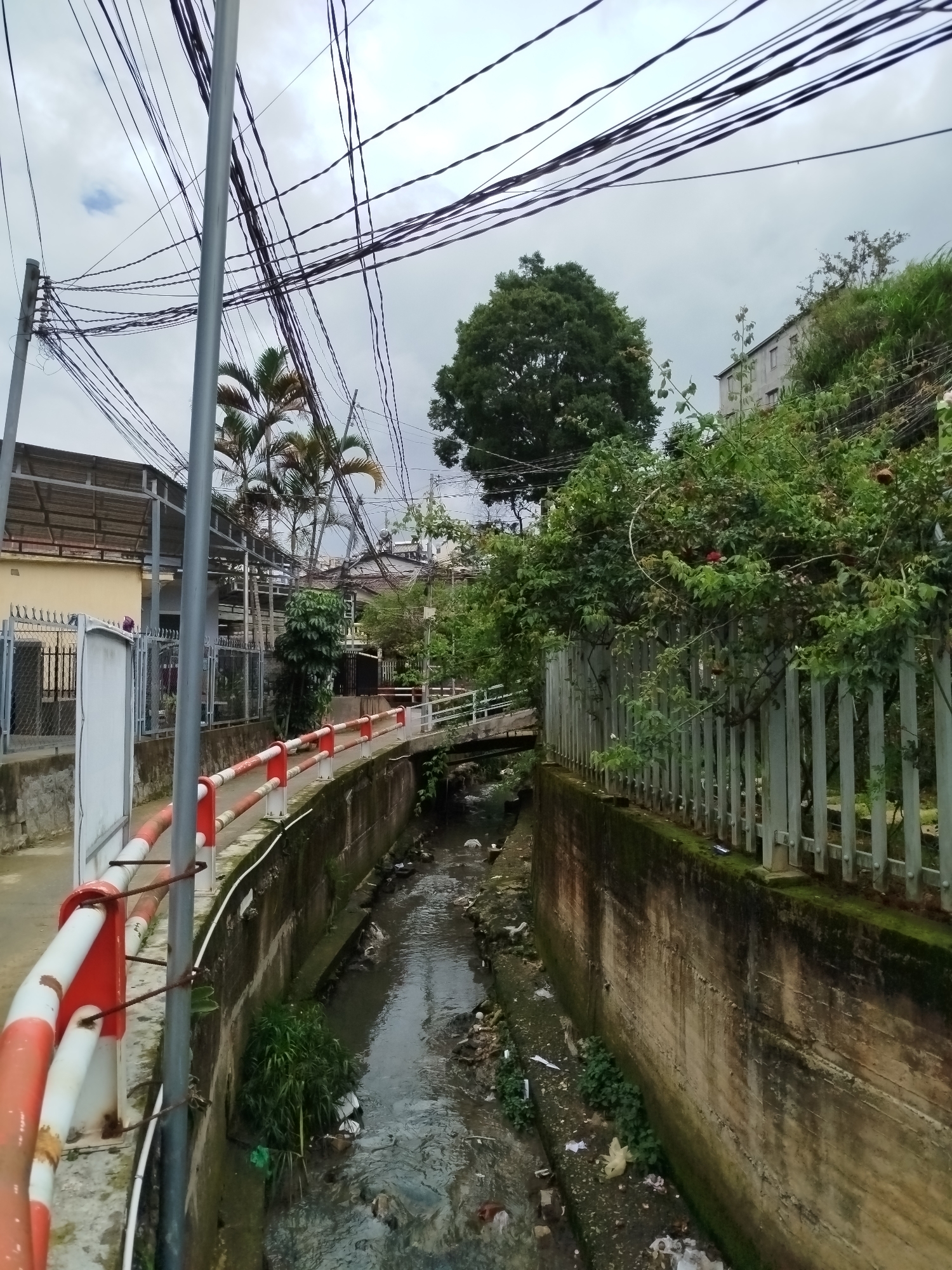 This image depicts an outdoor urban or semi-urban scene in Da Lat, Vietnam, under an overcast sky during the daytime.
In the foreground, a concrete-lined canal or stream flows through the center of the frame, its water partially obscured by litter including plastic bags and other debris. The stream is bordered by moss-covered concrete walls. To the left, a path or narrow road is lined by a red and white painted metal railing, behind which stands a tall utility pole. A dense tangle of black electrical or communication wires stretches across the sky, crisscrossing from various poles and structures. Further back on the left, parts of buildings with metal roofs and gated fences are visible, interspersed with palm trees.
To the right of the stream, an elevated slope is covered in lush green vegetation, including shrubs and trees. A light-colored metal fence runs along the top of the concrete wall bordering the stream, separating it from the greenery. A small, simple bridge, possibly made of wood, spans the stream in the midground, connecting the two sides. Beyond the bridge and the dense foliage, a large, leafy tree stands out against the sky, and parts of a multi-story building are visible on a higher, vegetated incline in the background.
The scene portrays a typical urban landscape with visible infrastructure, natural elements, and signs of human presence, including the cluttered stream. There are no people visible, nor any discernible text.