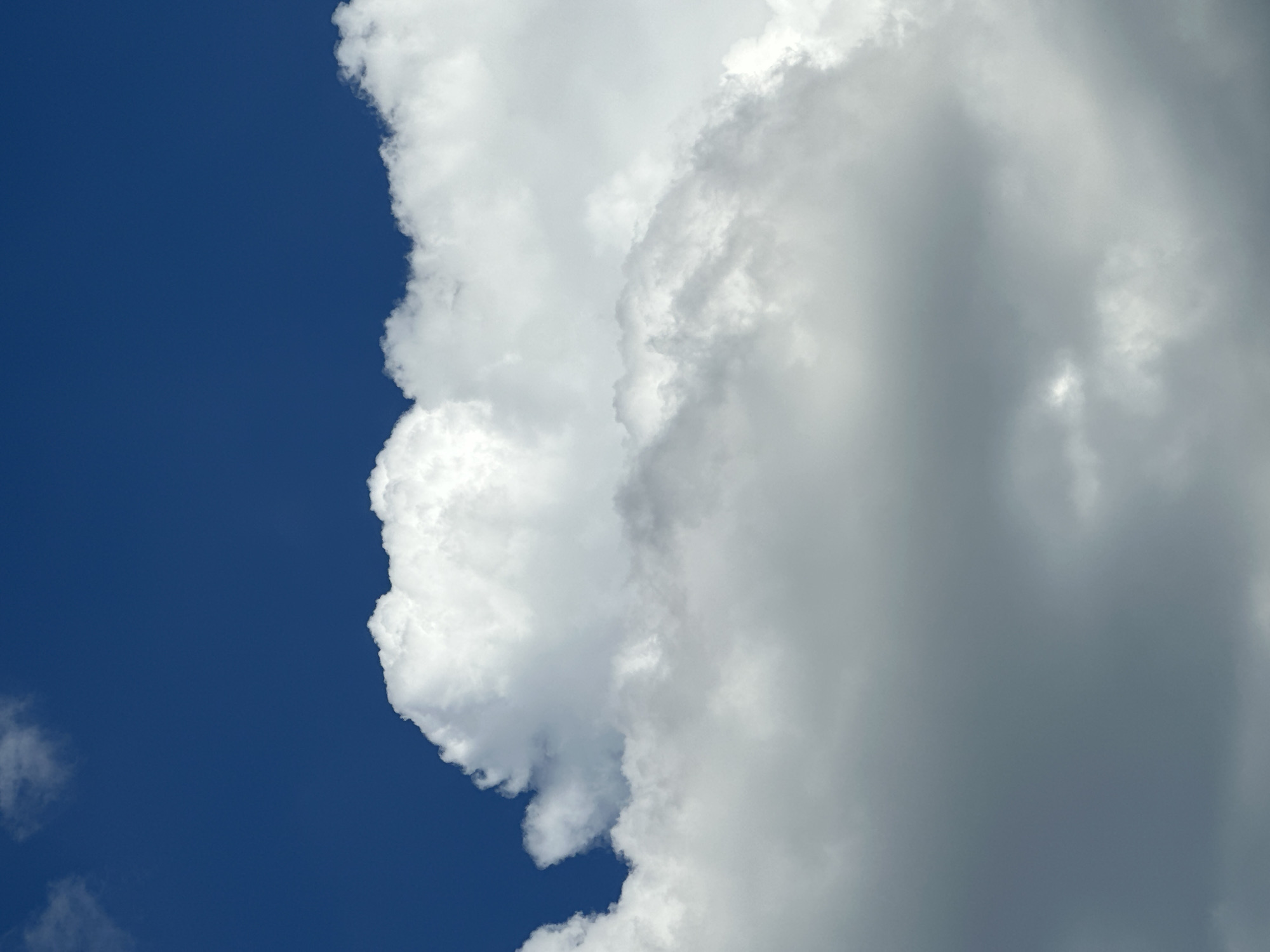 The image presents a vertical composition dominated by a complex cloudscape against a blue sky. The upper portion, predominantly in the top left and center, features a clear, deep blue sky, with a faint, wispy white cloud visible in the far upper-left corner. Below this clear expanse, a prominent, bright white cumulus-like cloud mass occupies the upper-middle section of the frame, displaying distinct, rounded edges where it meets the blue sky. Beneath this brightly illuminated layer, the clouds transition into denser, more shadowed formations, appearing in various shades of white, light gray, and darker gray. This multi-layered cloud mass extends downward, filling the majority of the bottom two-thirds of the image, suggesting depth and thickness in the atmosphere. No human figures, man-made structures, or specific objects are present. The scene captures an atmospheric view from an outdoor perspective. The location is Unknown, Unknown.