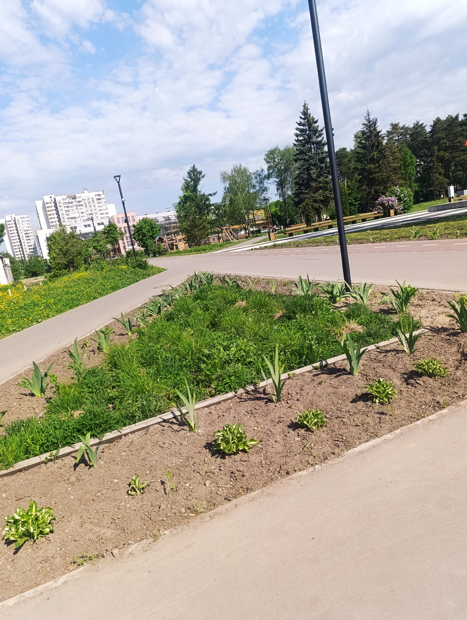 The image captures a park scene in an urban area of Unknown, Unknown, under a partly cloudy sky. In the foreground, a landscaped flowerbed is present with various types of plants including tulips and hostas. A paved walkway borders the flowerbed. In the midground, a pathway, potentially for pedestrians and cyclists, runs parallel to the flowerbed. Further back, there is a view of apartment buildings and a playground. Several trees are visible, including coniferous and deciduous species. A tall lamppost stands near the flowerbed.