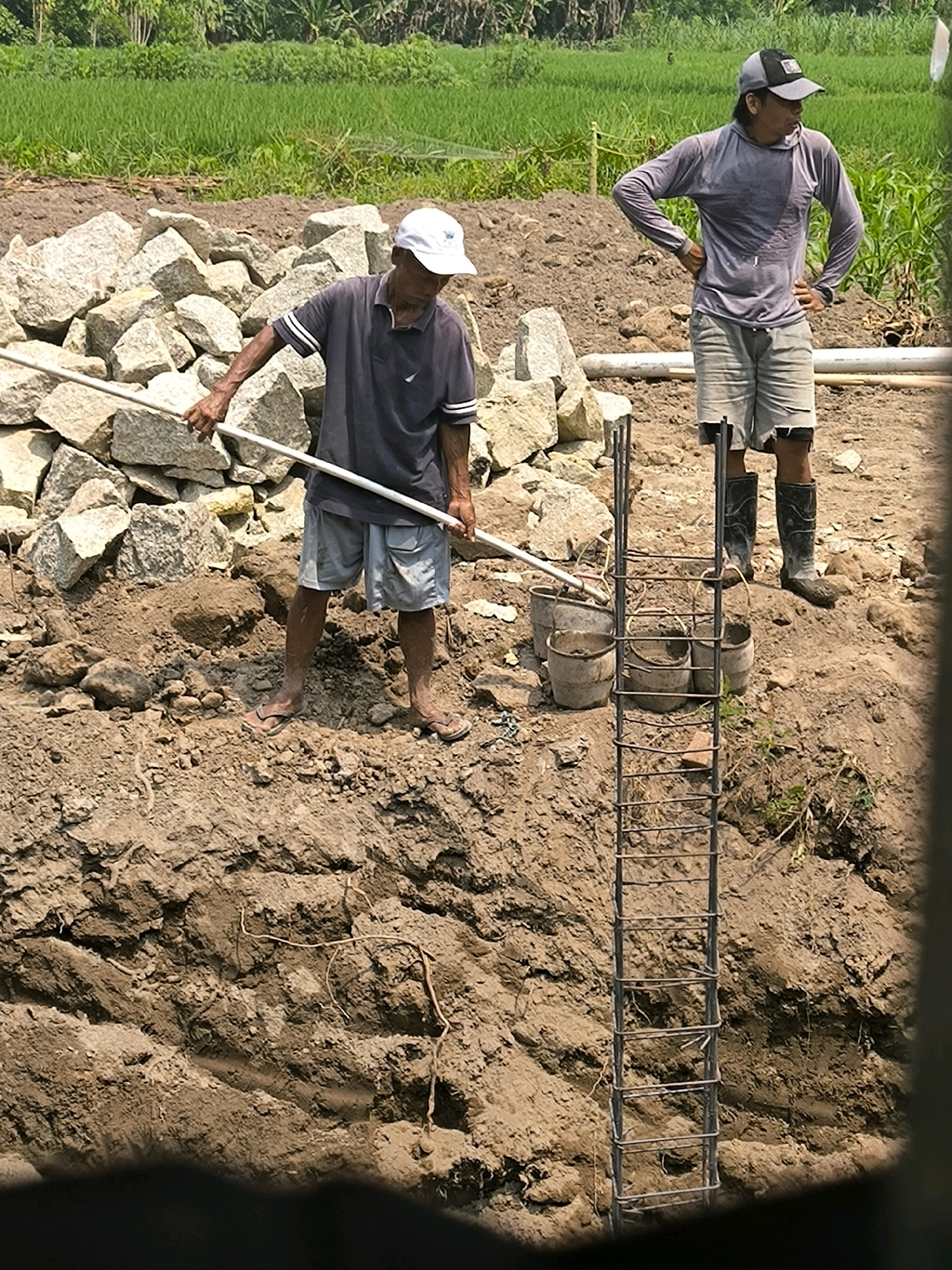 Two men are working on a construction site. The man in the foreground, wearing a dark blue polo shirt and grey shorts, is holding a white pipe and appears to be moving it. He is barefoot and wearing flip-flops. Behind him, a man in a grey long-sleeved shirt and grey shorts stands with his hands on his hips, looking to the side. He is wearing a baseball cap and boots. A metal rebar structure is visible in the center of the image, partially submerged in the ground. Several buckets are also present near the rebar. The background shows a green rice paddy field and a pile of large, light-colored rocks. The ground is a mix of dirt and soil, with some visible roots.