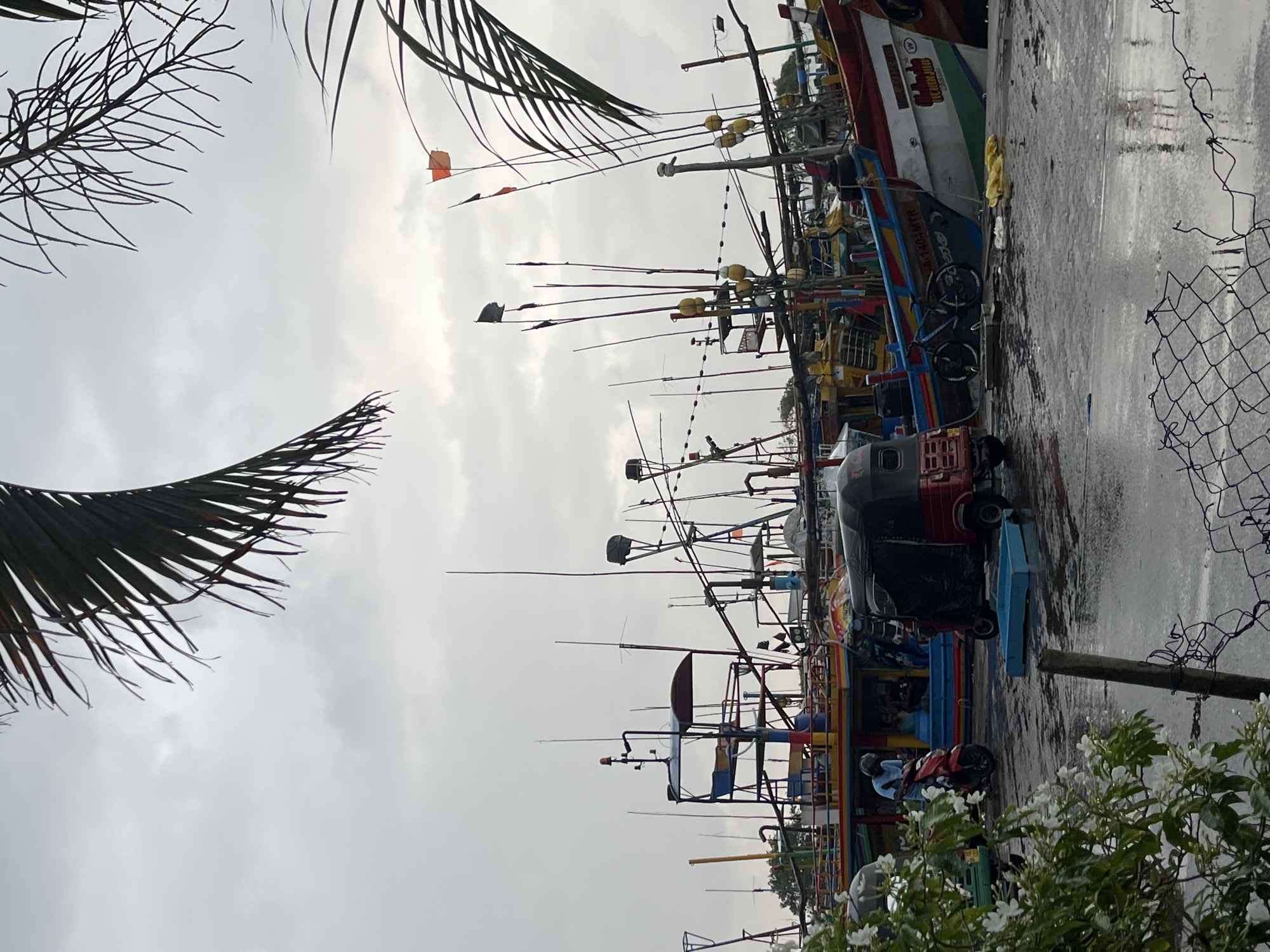The image depicts a harbor scene in Mirissa, Sri Lanka, under an overcast sky. Numerous fishing boats, characterized by their colorful hulls and tall masts adorned with flags and rigging, are moored at the dock. In the foreground, a red auto-rickshaw is parked on the wet, reflective pavement. To its left, a person on a red motorcycle, wearing a helmet, is stopped. A green vehicle is partially visible to the far left. Lush green foliage with white flowers is present in the lower left corner, and a portion of a chain-link fence is visible in the lower right. The overall atmosphere suggests a working harbor, possibly after or during rain, given the wet surfaces.