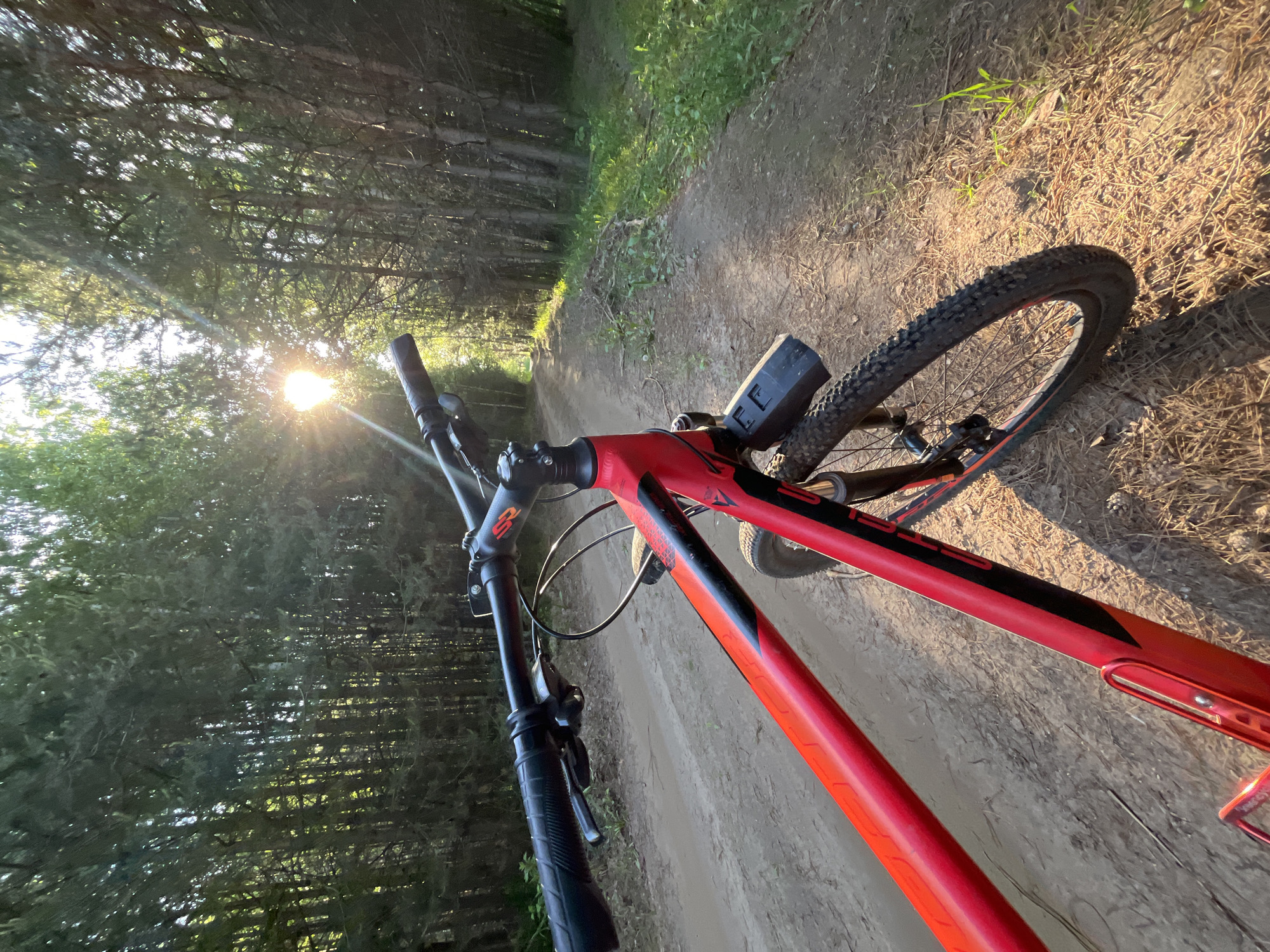 A first-person perspective shot shows a red and black mountain bike on a dirt road through a sun-dappled pine forest. The sun is setting, casting long shadows and creating lens flare through the trees. The bike is positioned on the left side of the frame, with its handlebars and front wheel clearly visible. The road ahead recedes into the distance, flanked by dense trees. There are no people visible in the image. The environment suggests a rural or natural setting, likely within or near the city of Chaikovsky, Russia, given the presence of pine forests and the characteristic dirt roads found in the region. The overall impression is one of peaceful solitude and outdoor recreation.