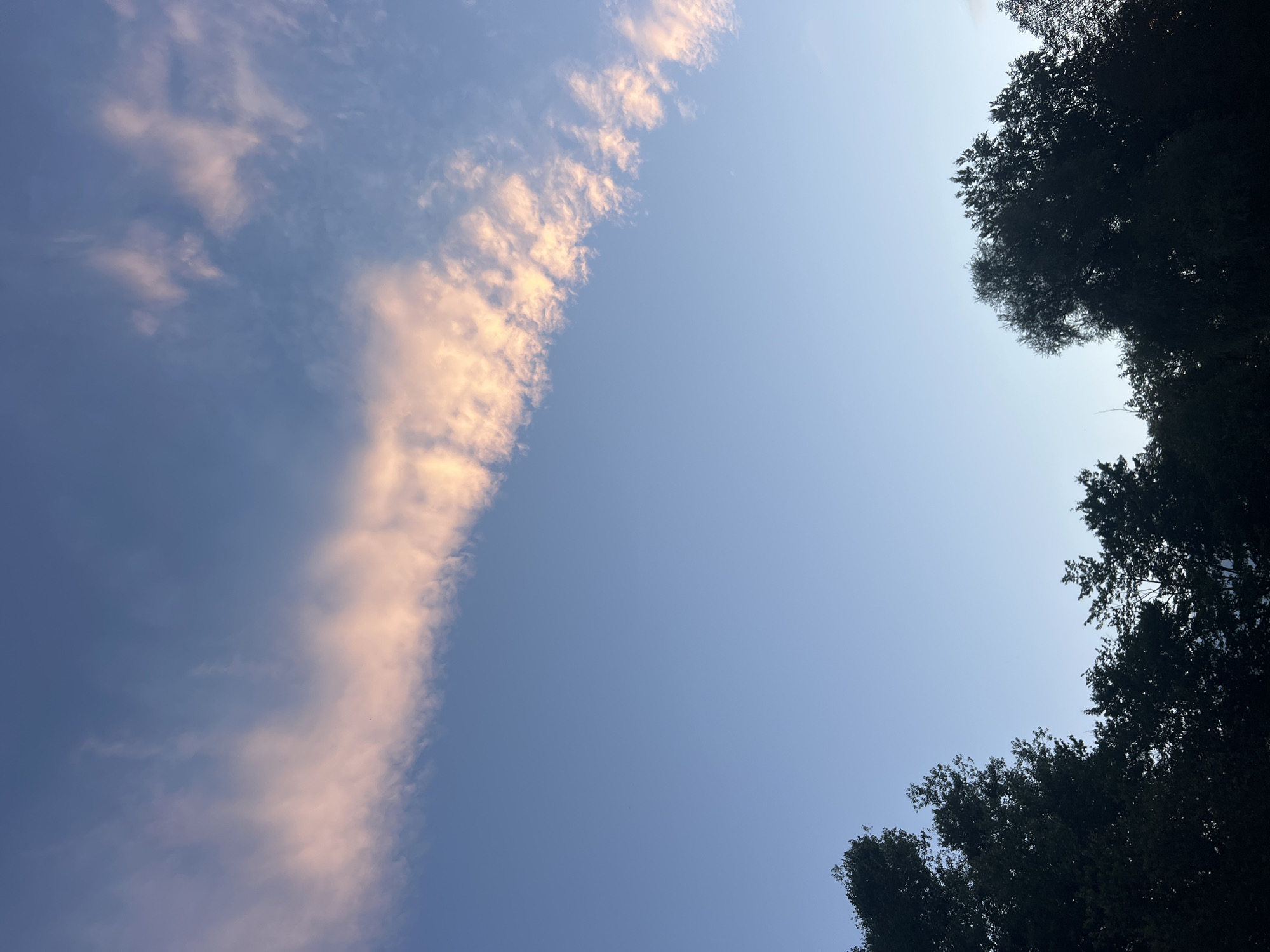 A treeline of dark, silhouetted trees forms the lower third of the image against a pale blue sky. A single, thin cloud stretches diagonally across the upper portion of the sky, tinged with a pale orange and pink hue, suggesting either sunrise or sunset. The image appears to be taken in an outdoor setting, potentially a park or the outskirts of a city like Yaremche, Ukraine, with the clear sky and the presence of trees indicating a natural or semi-natural environment. There are no people or specific landmarks visible.
