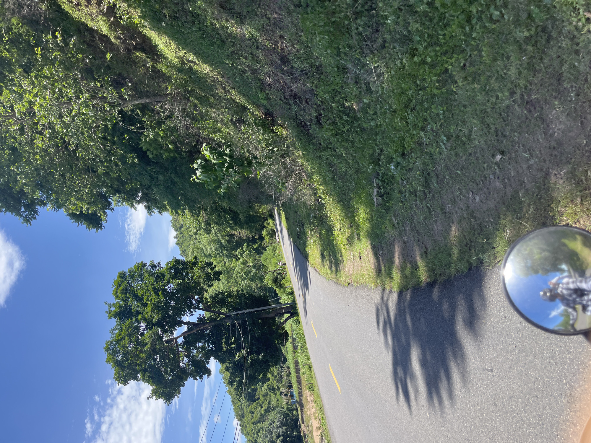 A motorcycle rider is on a paved road in Ham Thuan Bac, Vietnam, on a sunny day with a clear blue sky and scattered clouds. The road curves to the right, bordered by lush green vegetation and trees on the left and a steep, grassy embankment on the right. Shadows of tree branches are cast across the road. In the foreground, a motorcycle's rearview mirror reflects the rider wearing a helmet and a plaid shirt, along with the sky and trees. In the distance, a few more trees and buildings are visible on the left side of the road, and the road continues uphill into a forested area.
