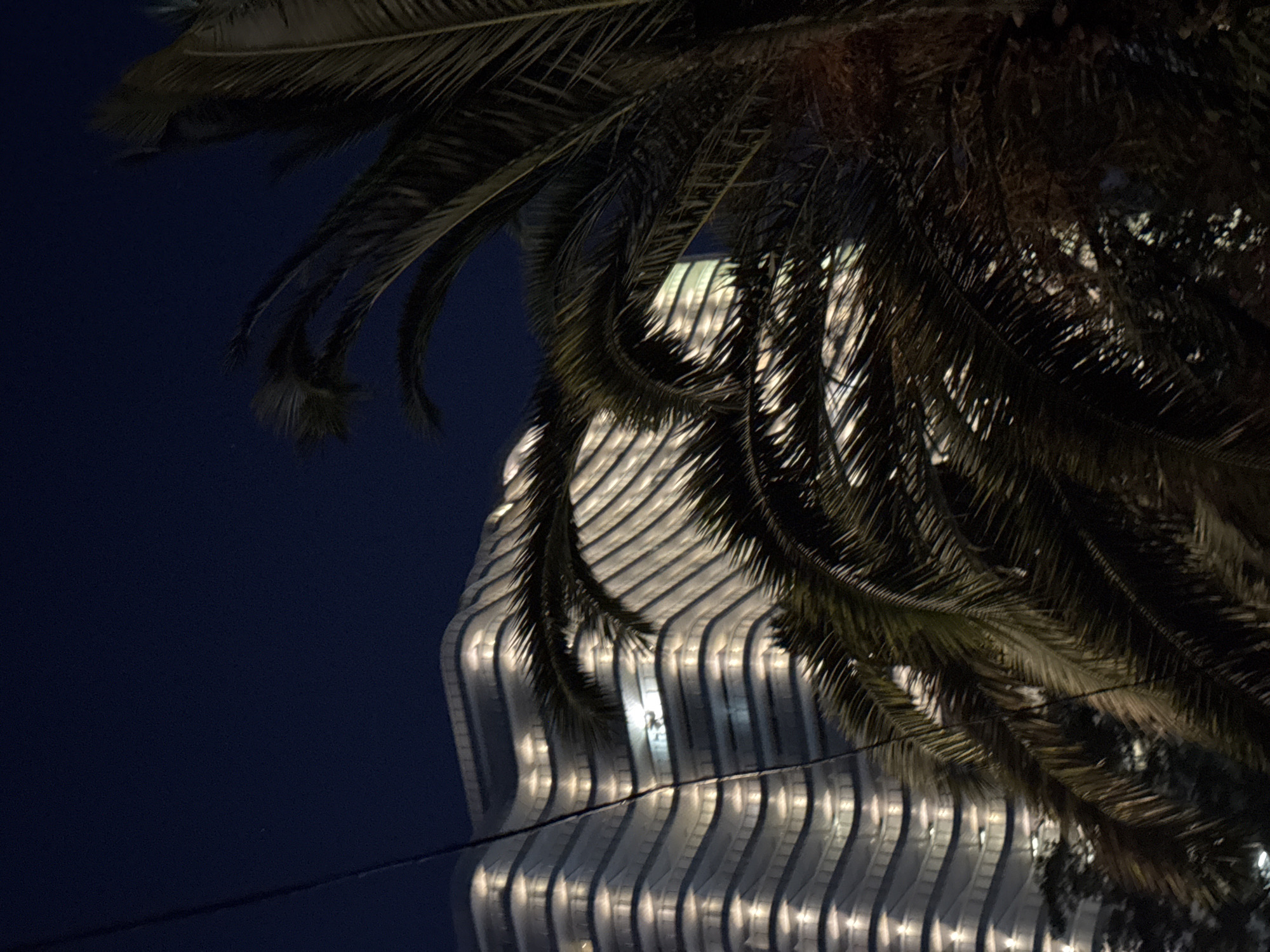 The image shows a contemporary building with a distinctive wavy facade, illuminated by warm lights, against a dark night sky. In the foreground, the fronds of a palm tree obscure a portion of the building, casting shadows and adding a tropical element to the urban scene. This architecture is characteristic of Sochi, Russia, a city known for its modern developments and subtropical climate, often featuring such buildings juxtaposed with lush vegetation. The scene appears to be an outdoor view, possibly from a street or balcony, capturing the blend of modern design and natural elements typical of the city's landscape at night.