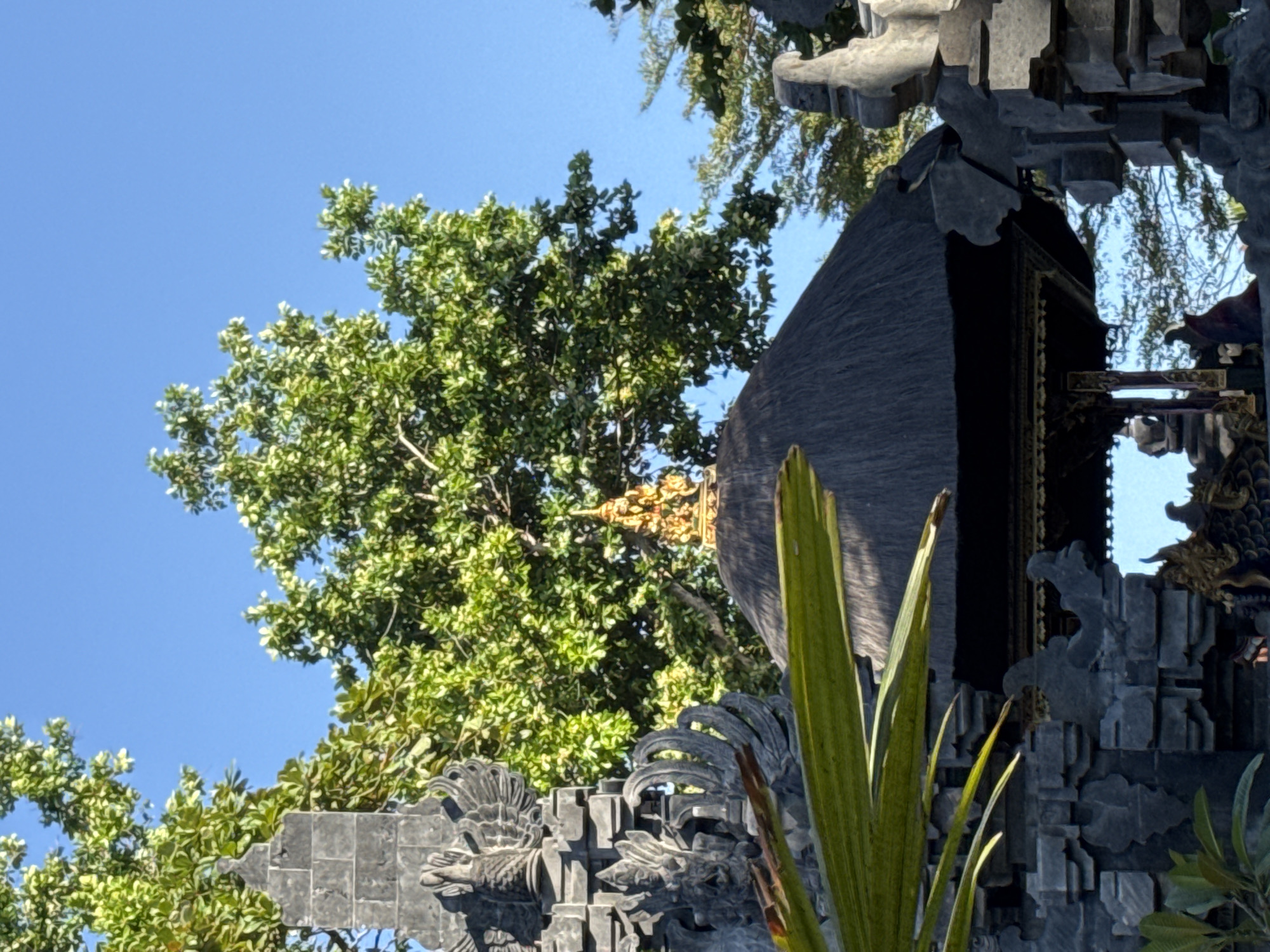 The image displays a vibrant outdoor scene featuring elements of Balinese architecture and lush greenery under a clear blue sky. A prominent structure, likely part of a traditional gate or temple (pura), is visible on the right side of the frame. This structure is crafted from dark grey stone, characterized by intricate, textured carvings, including stylized mythological figures and ornate patterns. A large, dark-colored roof or upper section of a building is also present behind these stone elements.
Dominating the background and upper left, a dense canopy of bright green trees thrives, their leaves catching the sunlight. Peeking through the foliage of the trees, a golden, highly decorative finial or spire hints at a significant cultural building hidden within the natural surroundings. The sky is a brilliant, unblemished blue, indicating clear and sunny weather. In the immediate foreground, a long, slender green plant leaf adds a natural touch to the right side of the composition.
The scene conveys a sense of tranquility and cultural richness, typical of locations in Bali, Indonesia, as suggested by the location context of Kuta Selatan. It is clearly daytime, with ample natural light illuminating the details. No specific activity or event is taking place, and no visible text is present in the image.