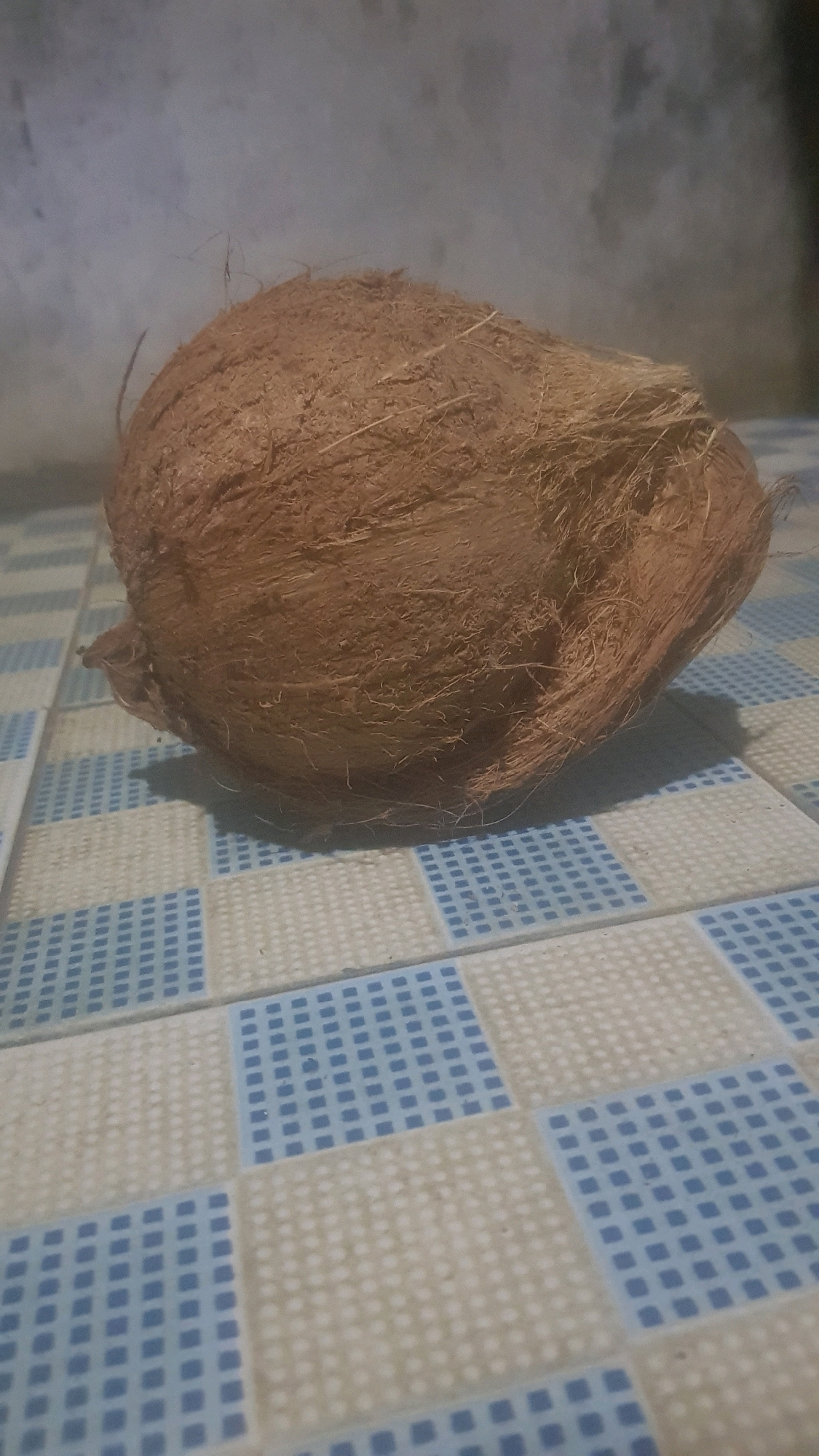 The image shows a whole coconut on a tiled surface. The coconut is brown and covered in fibrous husk. The tiles are a checkerboard pattern of light beige and blue squares. The background is out of focus and appears to be a wall. The scene is indoors. The location is a residential kitchen in Bakalan, Indonesia.