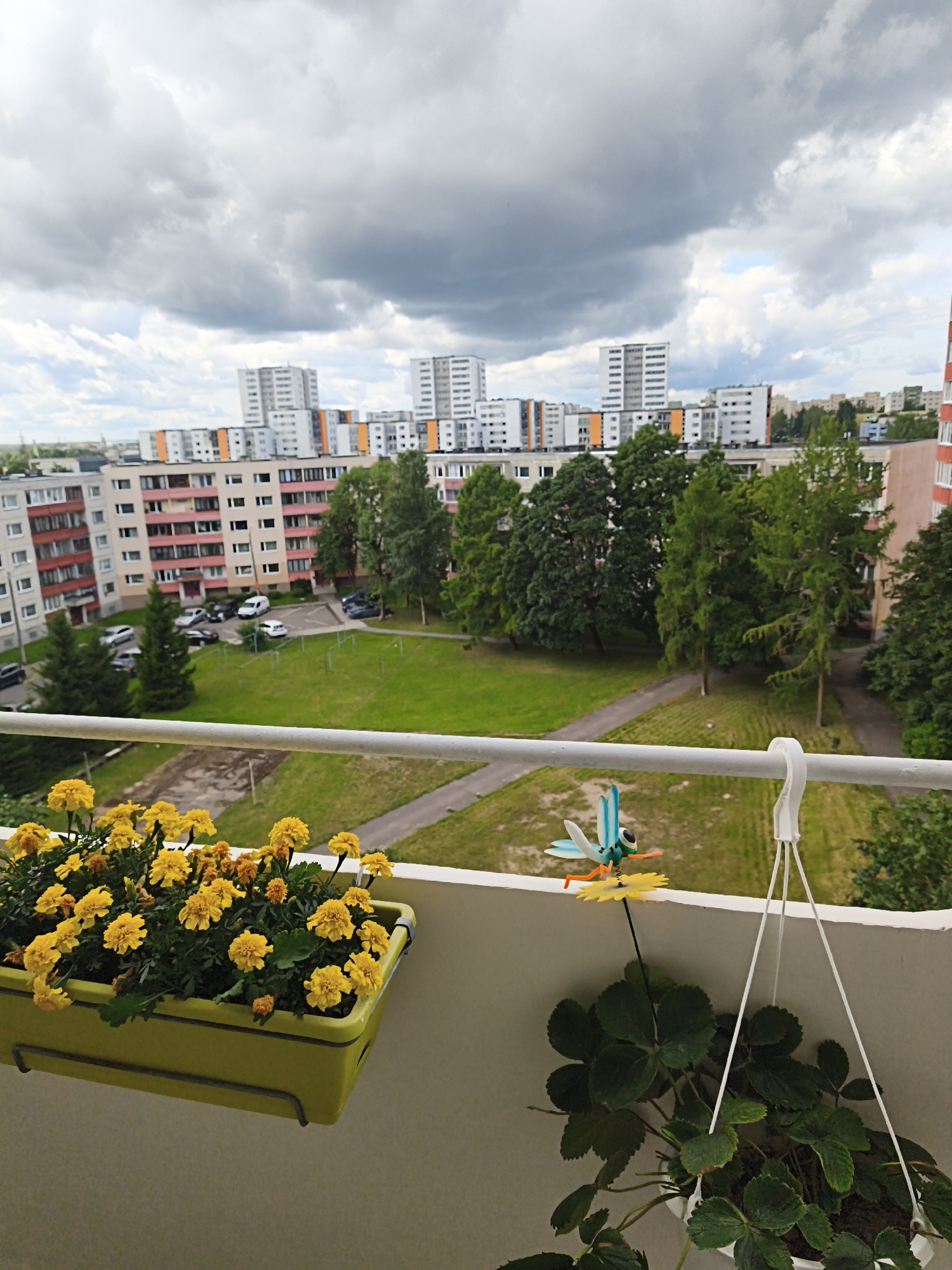 This is a vertical, eye-level, outdoor shot taken from a balcony in Tallinn, Estonia, overlooking a residential courtyard. The sky is heavily overcast with dark, dramatic clouds. In the foreground, a bright yellow flower box filled with marigolds is mounted on the balcony railing. To the right, a white hook hangs from the railing, supporting a white pot with green strawberry plants. A small, blue, dragonfly-shaped garden ornament with orange legs is perched on a yellow flower near the strawberry plants.
The middle ground of the image shows a courtyard with a grassy area, a paved pathway, and several parked cars. Tall, green trees are scattered throughout the courtyard. In the background, a series of apartment buildings dominate the cityscape. These buildings are a mix of styles, some with white and orange facades, others appearing more uniformly white. The architectural style suggests a post-Soviet era housing complex. The overall scene depicts an urban residential environment under a stormy sky.