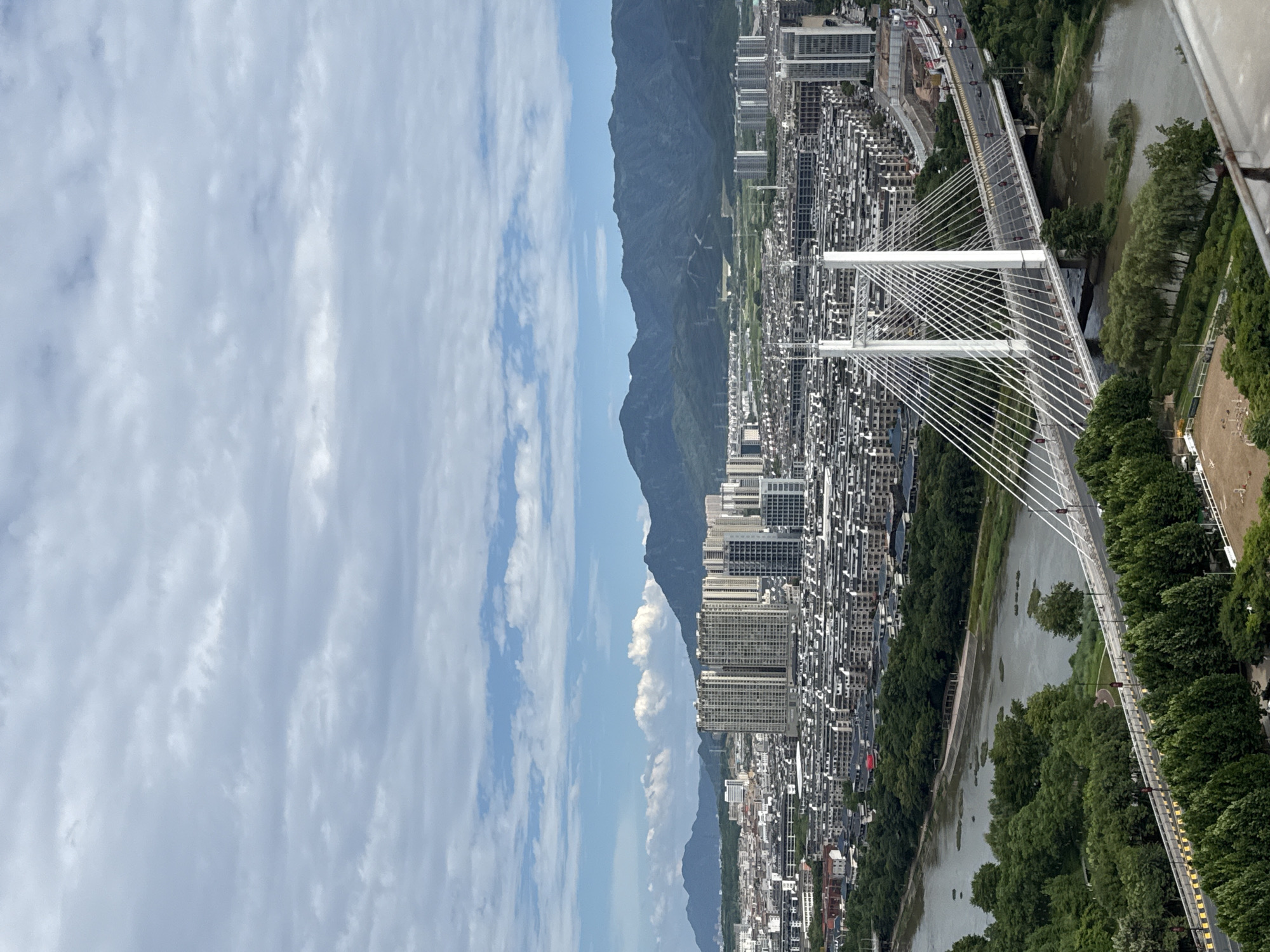 An aerial perspective captures a sprawling urban landscape in Yiwu, China, dominated by a network of residential buildings with dark roofs stretching towards a hazy mountain range in the distance. A modern cable-stayed bridge spans a wide river, its white towers and cables forming a striking geometric contrast against the organic shapes of the surrounding trees and water. The riverbanks are densely lined with lush green foliage, interspersed with areas of bare earth and sandy patches. Further into the city, high-rise apartment buildings punctuate the skyline, their facades reflecting the overcast sky. The sky itself is a textured canvas of grey and white clouds, suggesting a slightly diffused daylight. The scene is devoid of any visible individuals or vehicles actively engaged in discernible actions.