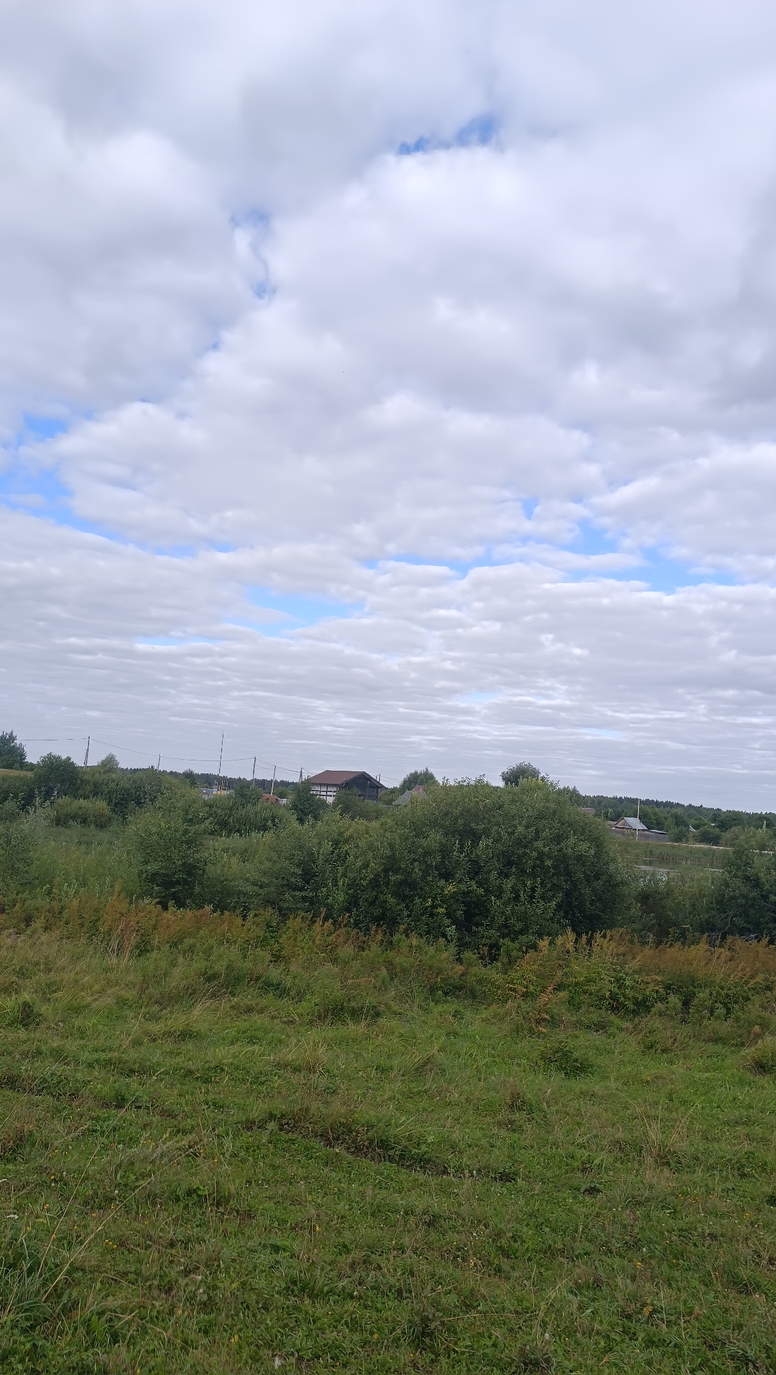 The image depicts a rural landscape under a cloudy sky. In the foreground, a field of green grass with some dry stalks is visible. Behind the field, a dense line of various trees and bushes forms a green barrier. Beyond the vegetation, several houses with brown roofs are scattered across the horizon, suggesting a small settlement. Power lines and poles are also present, indicating infrastructure. The sky is filled with a mix of white and gray clouds, with patches of blue sky peeking through. The overall impression is one of a quiet, natural setting on an overcast day. The image does not contain any people or specific actions.