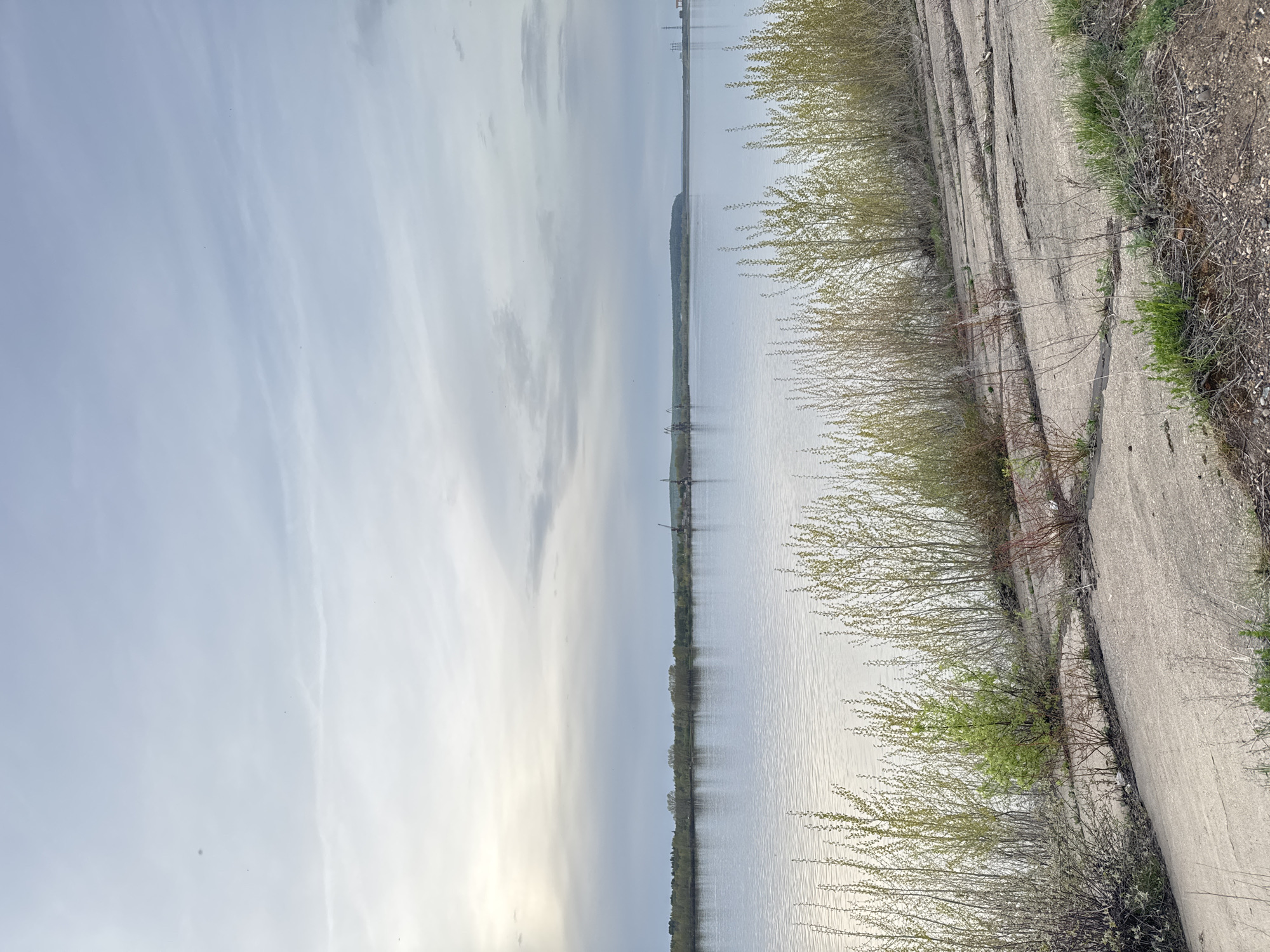 The image depicts a landscape in the city of Chaikovsky, Russia. The scene includes a body of water, likely a reservoir or wide river, with a concrete embankment on the right side of the frame. The embankment shows signs of disrepair with cracks and crevices. Vegetation, including shrubs and some grasses, grow along the embankment’s edge. On the far side of the water, a strip of land is visible, potentially a long, thin island or the opposite shore. A few structures, potentially industrial or power transmission towers, can be seen in the distance. The sky is overcast with varied cloud cover. The orientation of the image is vertical, implying that the shot was taken with a phone or device held upright.