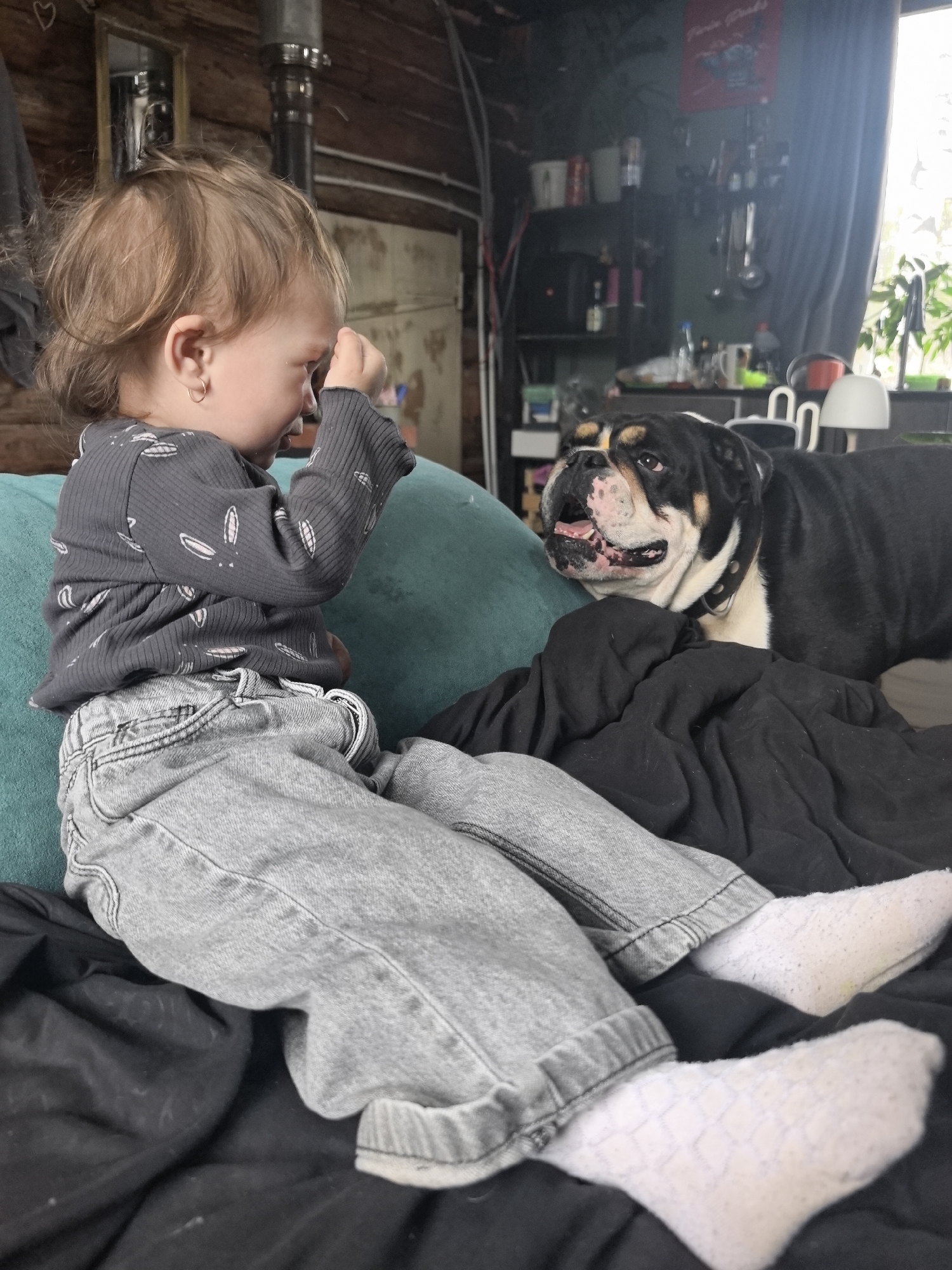 A young child is sitting on a bed covered in a dark blanket and light blue-green cushions. The child is wearing a gray long-sleeved shirt with a white pattern and light-colored jeans, and white socks. The child is looking to the right and has their right hand raised near their face. To the right of the child is a black and white bulldog. Behind the child and dog, the room has dark-colored wooden walls and a window with a gray curtain. There are shelves with items on them in the background. The location in the city of Noviy, Russia, cannot be determined from the image.