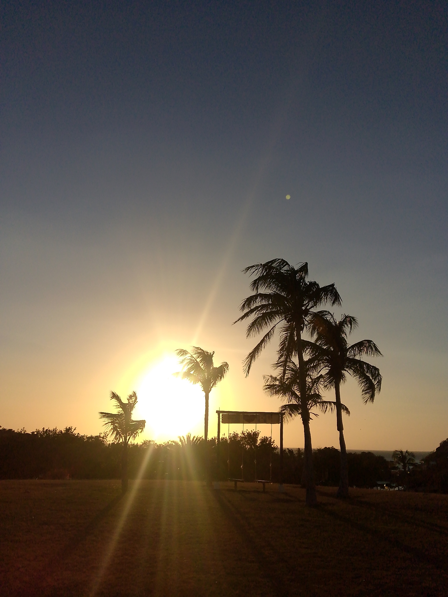 The image shows a sunset scene in Pedro González, Venezuela. The sun is low on the horizon, obscured partially by palm trees. Rays of sunlight radiate outwards, creating bright glare in the center of the image. Three palm trees are silhouetted against the brightly lit sky, one towards the center and two on the right. A swing set and some vegetation are visible between the palm trees, against a backdrop of trees and the coastline of the ocean visible on the horizon. The sky is a gradient, transitioning from a deep blue at the top to a bright yellow near the horizon. The foreground shows a grassy area.
