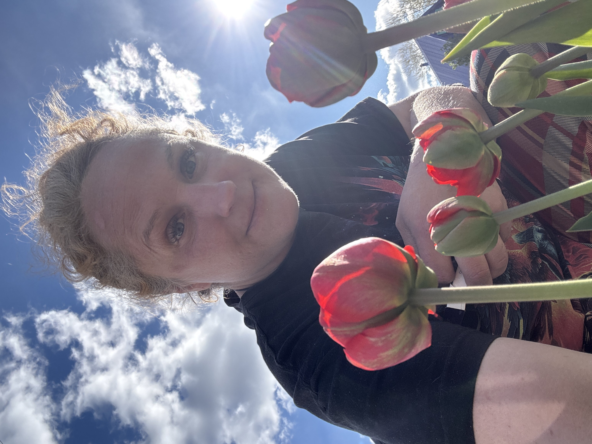 A low-angle shot captures a person from the chest up, positioned against a bright blue sky dotted with fluffy white clouds and the sun. The person has fair skin, light-colored curly hair, and is wearing a black shirt. Several red and green tulip buds are clustered around the person, seemingly held in their hand. A patterned red and black shawl is draped over their arm. The exact location in the city of Chaikovsky, Russia, is not discernible from the visual information provided.
