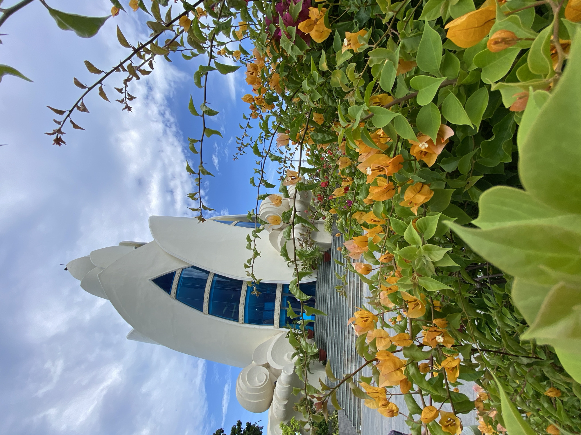 This media file captures a unique architectural structure resembling a blooming lotus flower, with its white, petal-like roof curving upwards. The building features large, blue-tinted windows that reflect the sky. A set of stairs leads up to an entrance, flanked by potted plants. Lush green foliage and vibrant orange and pink bougainvillea flowers spill over the scene, framing the building and the bright blue sky with scattered white clouds. The sunlight suggests it is daytime, and the clear sky indicates fair weather. The overall impression is one of serene beauty and architectural artistry, possibly a temple or a significant cultural landmark in Nha Trang, Vietnam. There is no visible text in the image.