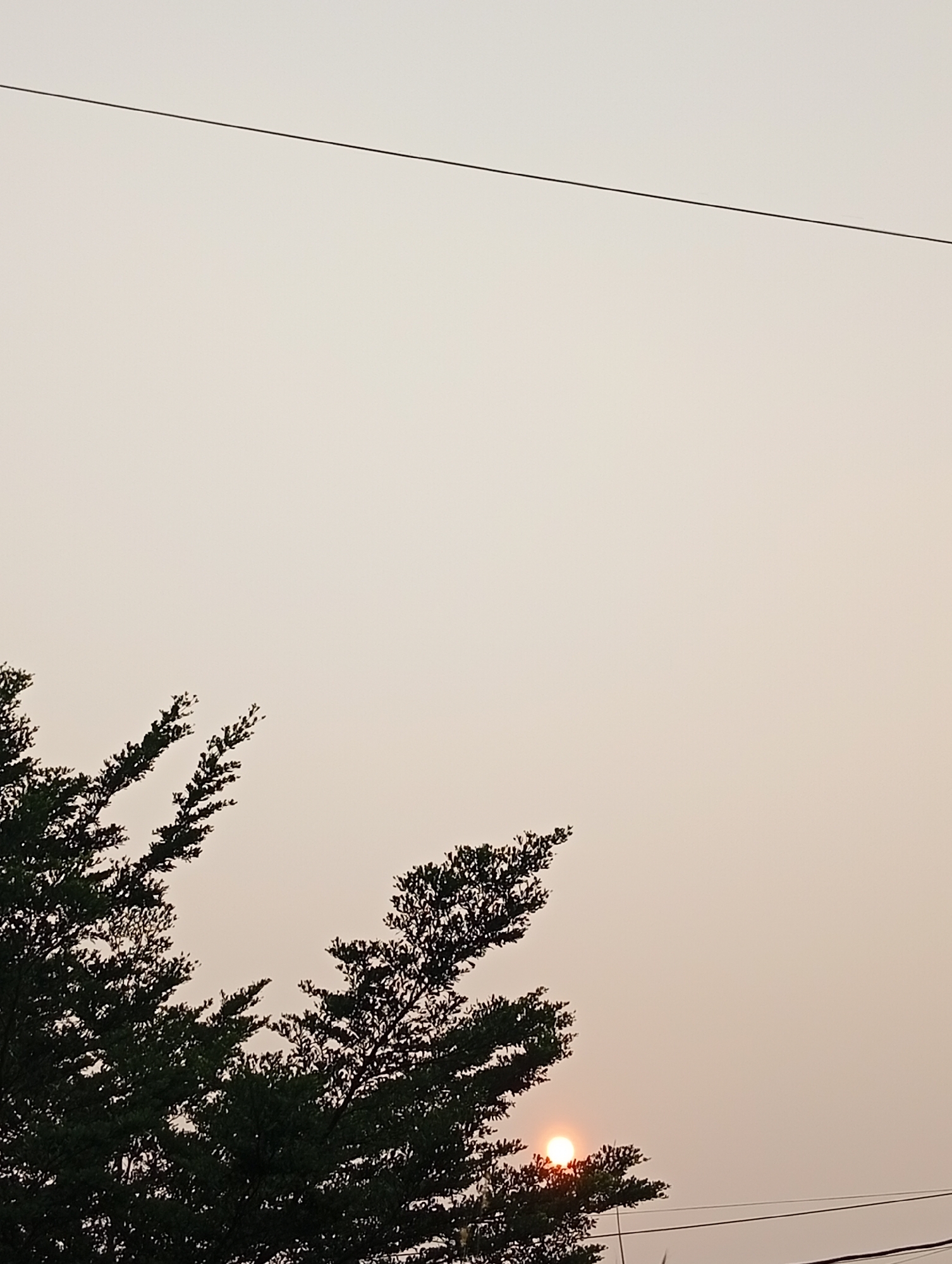The image shows a hazy sky with a thin, dark line, likely a power line, stretching across the upper portion. Silhouetted against the pale sky are the dark, leafy branches of trees in the foreground, occupying the lower left and bottom portions of the frame. Towards the bottom right, a small, bright orb, appearing to be the sun, is visible just above another dark, horizontal line, possibly another power line. The overall impression is of an outdoor scene, possibly during a sunset or sunrise, with limited visibility due to atmospheric haze, suggesting a location in Kualu, Indonesia. There are no people or animals visible in the image, and no actions or interactions are depicted. The focus is on the natural elements and infrastructure against a muted backdrop.