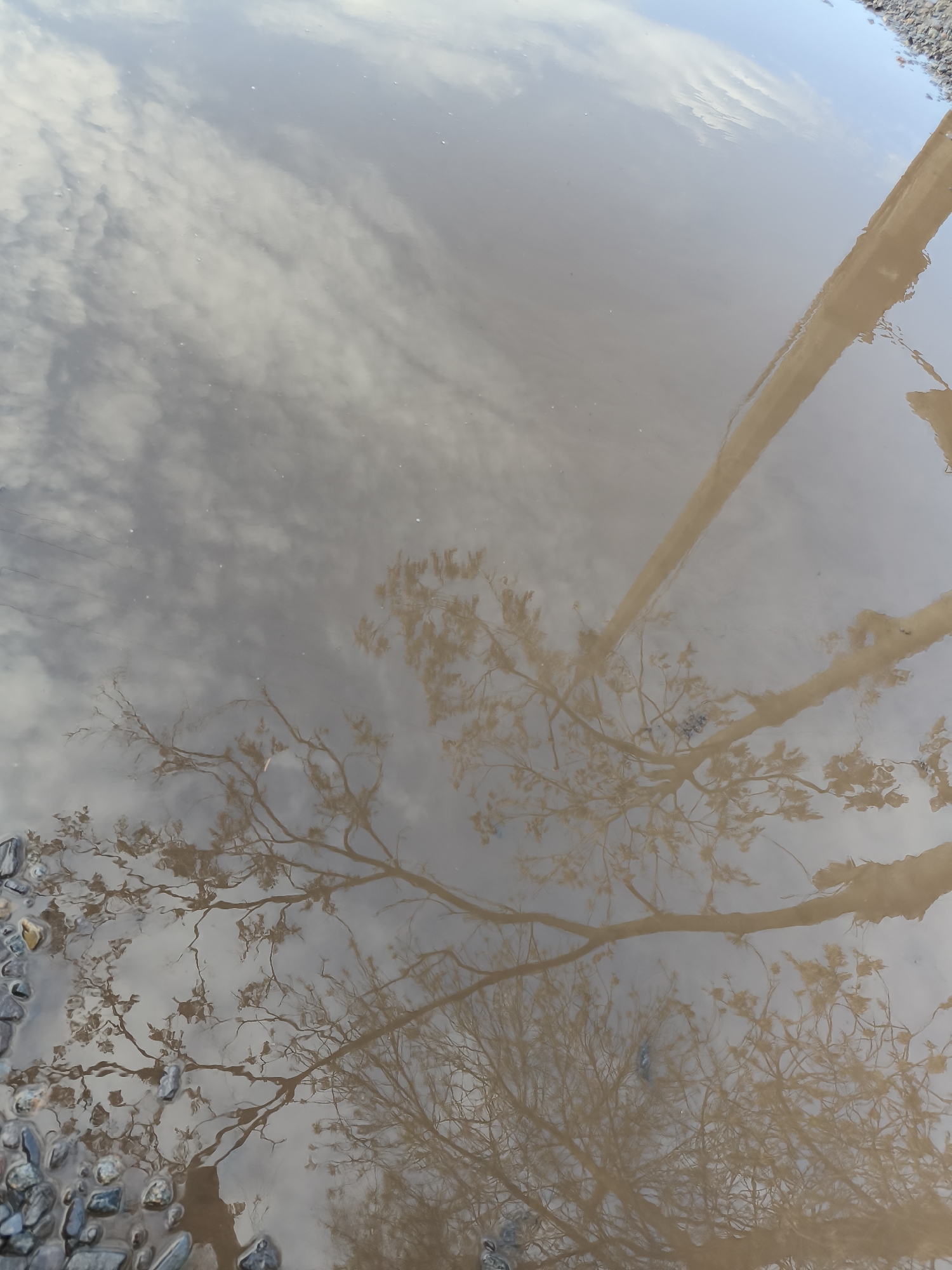 The image captures a detailed reflection in a muddy puddle, likely in Kryvyi Rih, Ukraine. The primary subject is the surface of the puddle, which acts as a mirror, reflecting the sky and surrounding trees.
The water in the puddle is a light brown, murky color, giving the reflections a warm, somewhat sepia-toned appearance. Reflected prominently in the water is a pale blue sky dotted with white, wispy clouds. Below the sky reflection, the bare or sparsely leafed branches of several trees are clearly visible. One thick, elongated branch extends diagonally across the upper right quadrant of the image, while a denser network of smaller branches, some with hints of minimal foliage, occupies the central and lower left portions.
Along the bottom and left edges of the puddle, various sized stones and gravel are visible, indicating an unpaved outdoor setting such as a path or natural ground. No human activity is depicted.
The scene suggests a daytime setting due to the bright sky reflection. The bare or thinly leafed trees indicate a temperate climate, possibly late autumn, winter, or early spring. There is no visible text in the image.