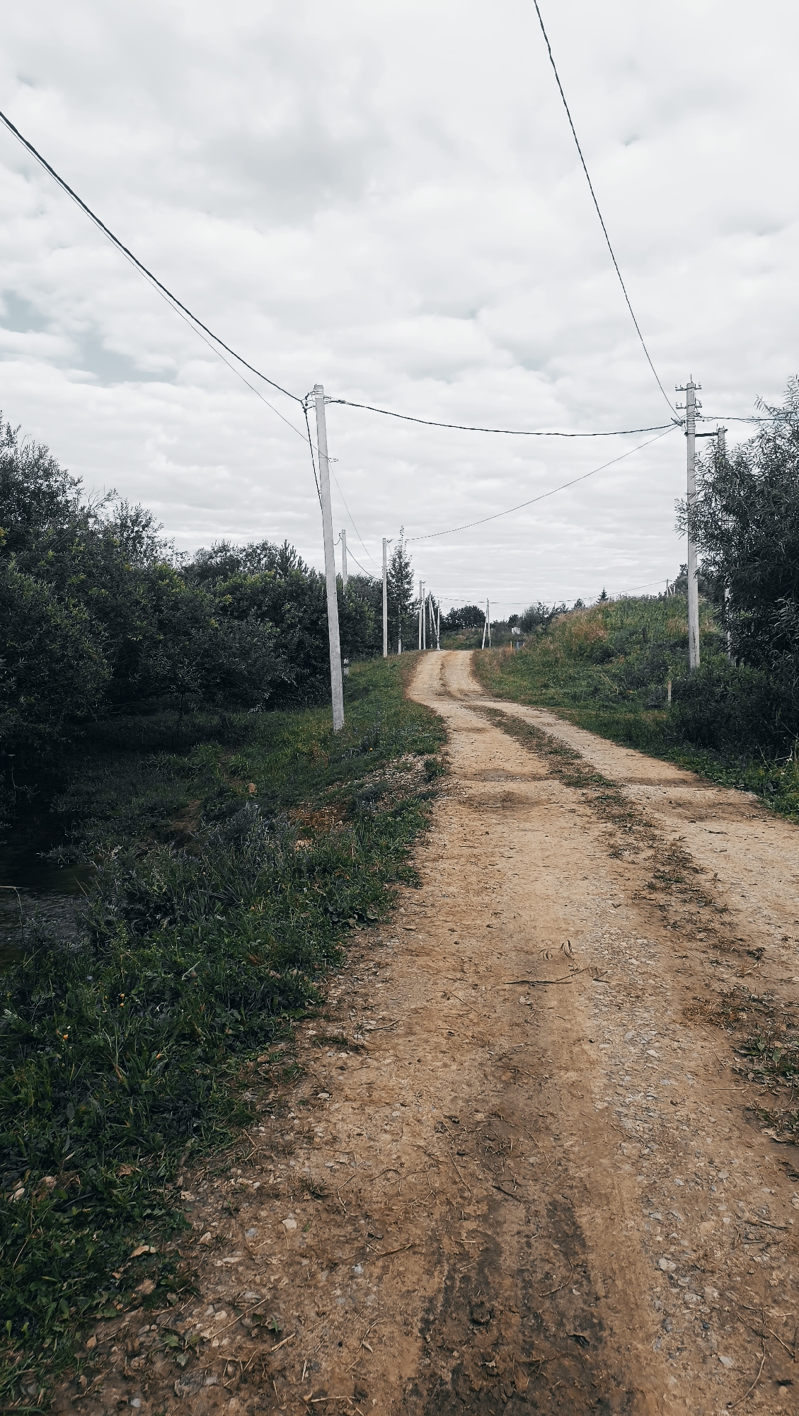 The image depicts a dirt road winding through a rural landscape under an overcast sky. The road is flanked by dense green foliage on the left and sparser vegetation and trees on the right. A series of utility poles with overhead wires run parallel to the road, stretching into the distance. The ground of the road is a mixture of dirt and small stones, with visible tire tracks. The overall impression is one of a secluded, undeveloped area. The location is identified as being in the city of Karsha, Russia.