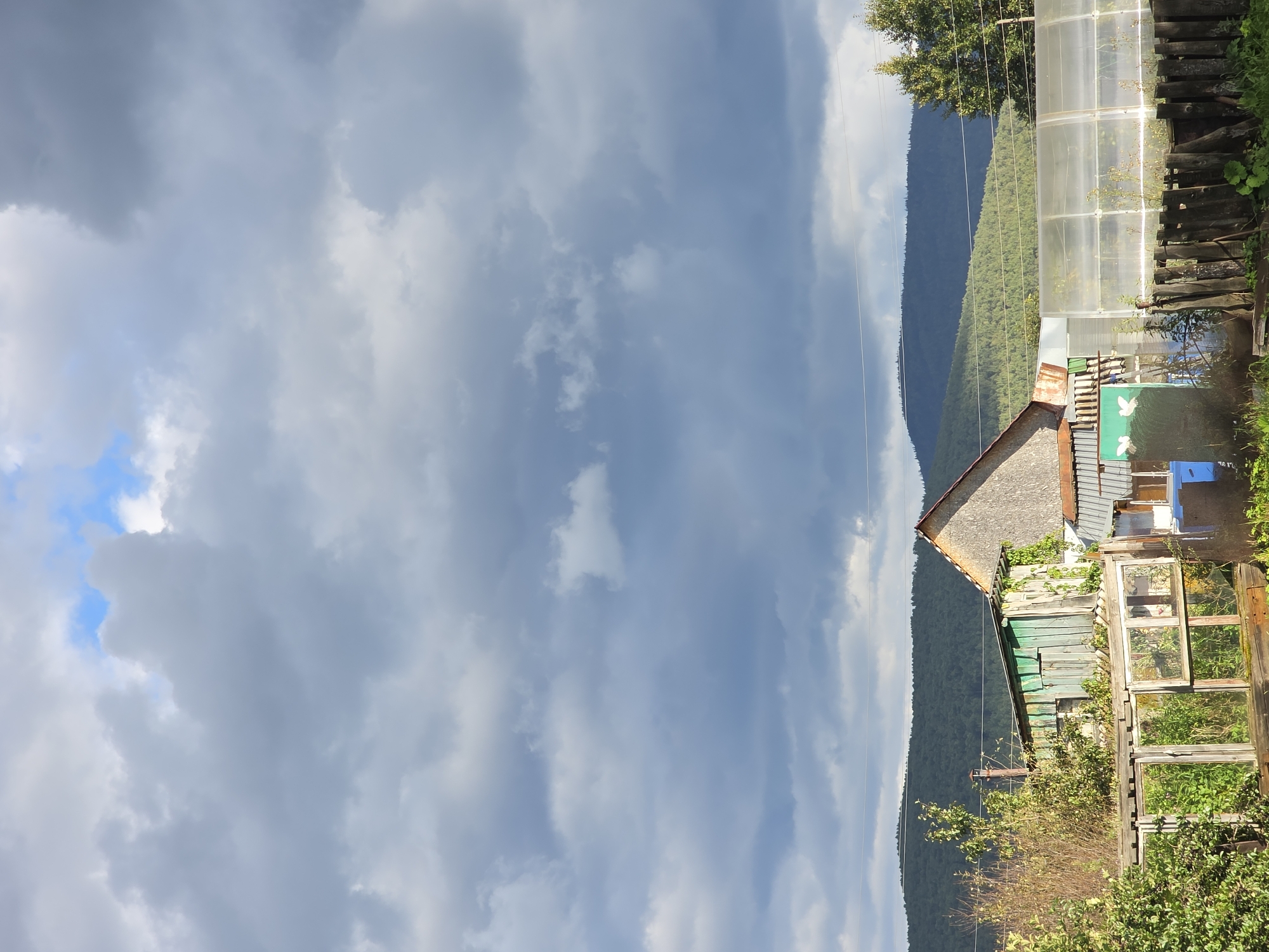 The image depicts a rural scene with a focus on dilapidated outbuildings and a greenhouse in the foreground. A weathered wooden structure, painted green, leans against a larger, unfinished building with a triangular roof. To the right, a long, transparent greenhouse, likely made of plastic sheeting, stretches across the frame, bordered by a rustic wooden fence. Lush green foliage surrounds the structures, suggesting a well-established garden. In the background, rolling, tree-covered hills fade into the distance under a dramatic sky filled with heavy, dark gray clouds interspersed with patches of blue. The scene appears to be set in a remote or undeveloped area, possibly a dacha or country home, fitting for a location like Magnitka, Russia, known for its natural landscapes and often featuring such rural dwellings. There are no people visible in the image. The overall impression is one of natural beauty juxtaposed with signs of aging and neglect.