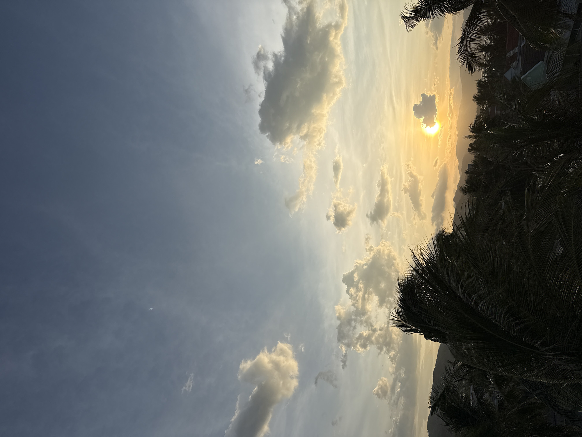 The image depicts a sunset over the city of Song Cau, Vietnam. In the foreground, the silhouettes of palm trees are prominent, their fronds rustling in the wind. Beyond the trees, a collection of buildings with red and green roofs is visible. In the middle ground, rolling hills form a backdrop, partially obscured by the palm trees and buildings. The sky is a gradient of blues and yellows, with scattered clouds illuminated by the setting sun, which is partially hidden behind a small cloud. A sliver of the moon is visible in the upper left portion of the sky. The overall scene is one of a tropical evening landscape.