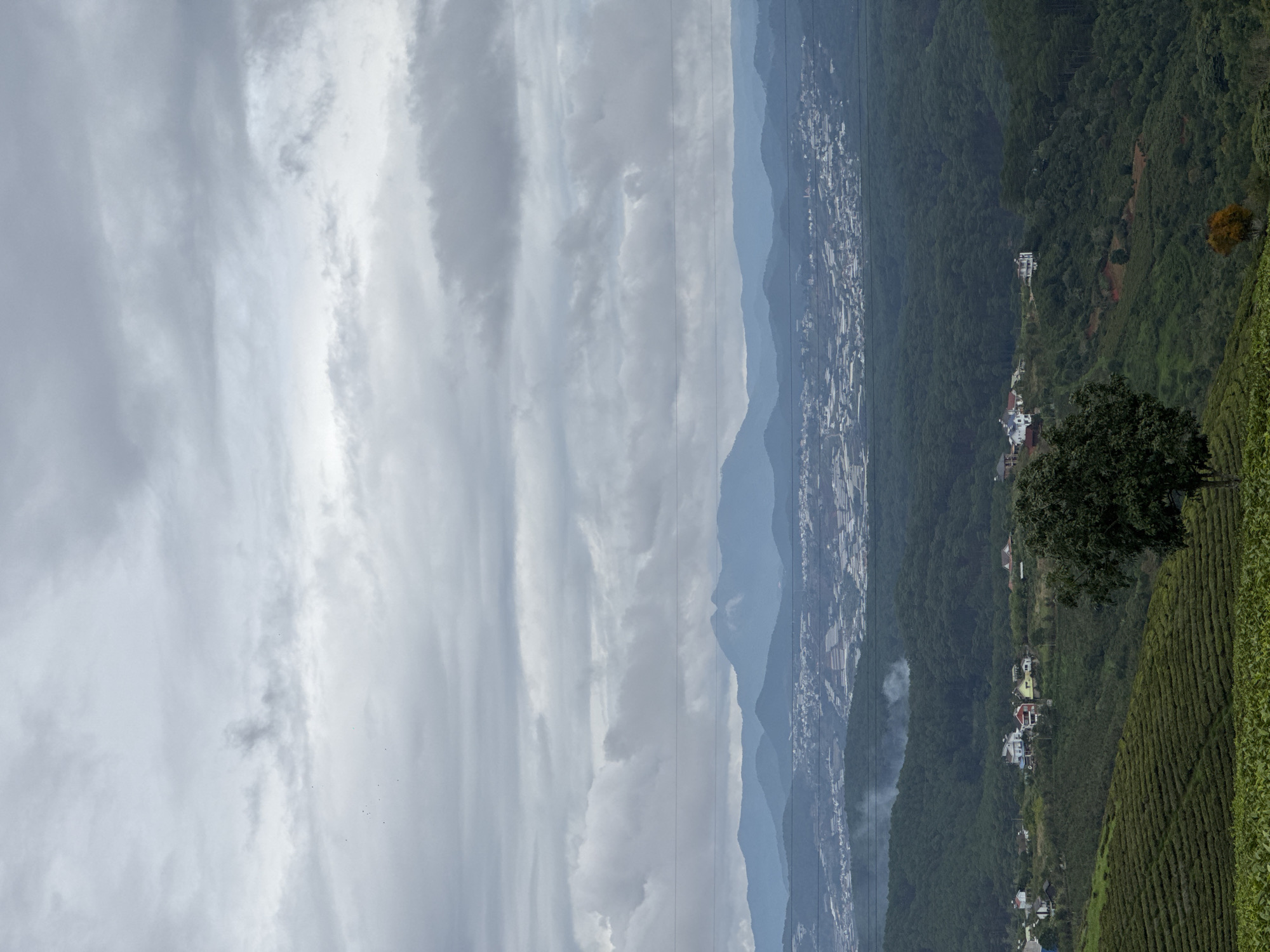 The image depicts a landscape near the city of Trường Thọ, Vietnam. The left side of the image shows a cloudy sky. Adjacent to the sky is a mountain range. At the base of the mountains is a city. On the right side of the image is a hillside with terraced fields and a tree. A few houses dot the mountainside.