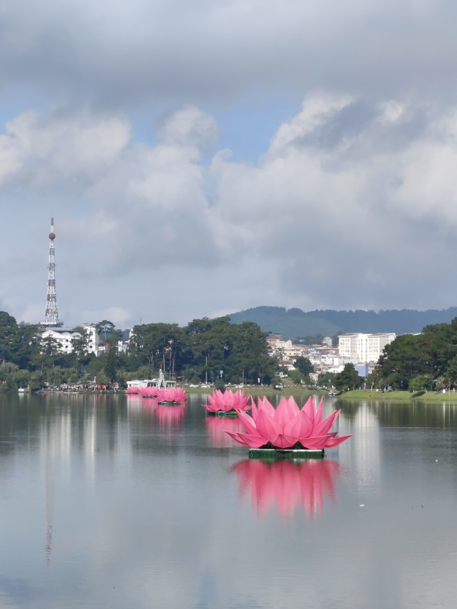 The image captures a serene scene at Xuan Huong Lake in Da Lat, Vietnam. Several large, artificial pink lotus flowers float on the calm water's surface, reflecting their vibrant color. In the background, the city skyline is visible, featuring buildings interspersed with trees and a communication tower standing prominently to the left. The sky is overcast with a mix of clouds, casting a soft light over the entire scene. The lake reflects the sky and surroundings, enhancing the peaceful atmosphere.