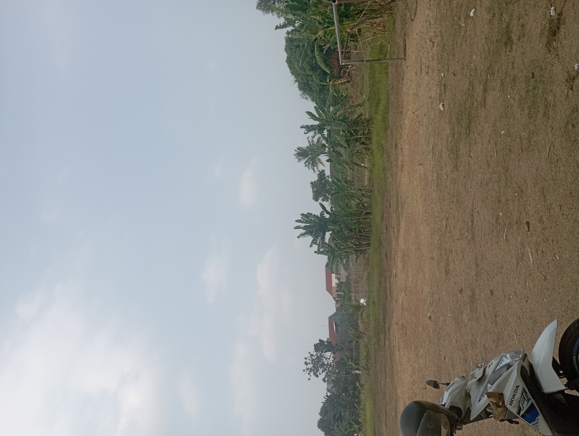 The image depicts an outdoor scene in Purwakarta, Indonesia, under an overcast sky. In the foreground, a white and blue Honda scooter is parked on a dry, dirt-covered ground, with a black helmet resting on its handlebars. The ground is sparsely covered with dry grass and scattered debris.
Beyond the scooter, the landscape transitions into a field with more grass and vegetation. A bamboo fence marks a boundary. In the middle ground, several banana trees are prominent, with some houses visible behind them. One house has a red-tiled roof, and another appears to be a light-colored structure.
Further back, more vegetation, including a cluster of trees, is present. To the right of the image, a metal goalpost, likely for a sports field, is partially visible. The overall impression is of a rural or semi-rural area on the outskirts of a residential zone. The lighting suggests it is daytime, but the cloudy conditions diffuse the sunlight.