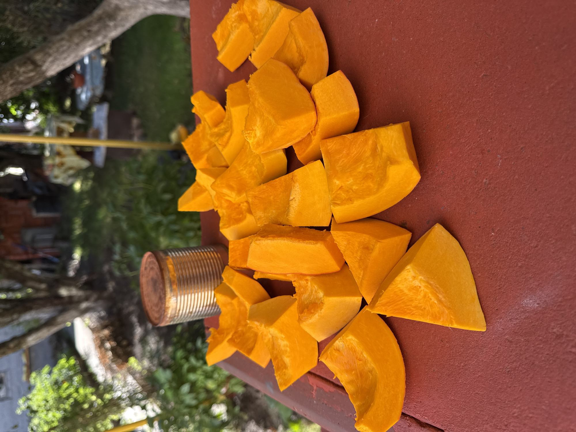 A pile of bright orange pumpkin chunks sits on a dark red, textured surface outdoors. In the background, a rusty tin can is visible. Further back, greenery and trees are out of focus, suggesting a garden or park setting. The scene appears to be in a residential area of Zheleznogorsk, Russia.