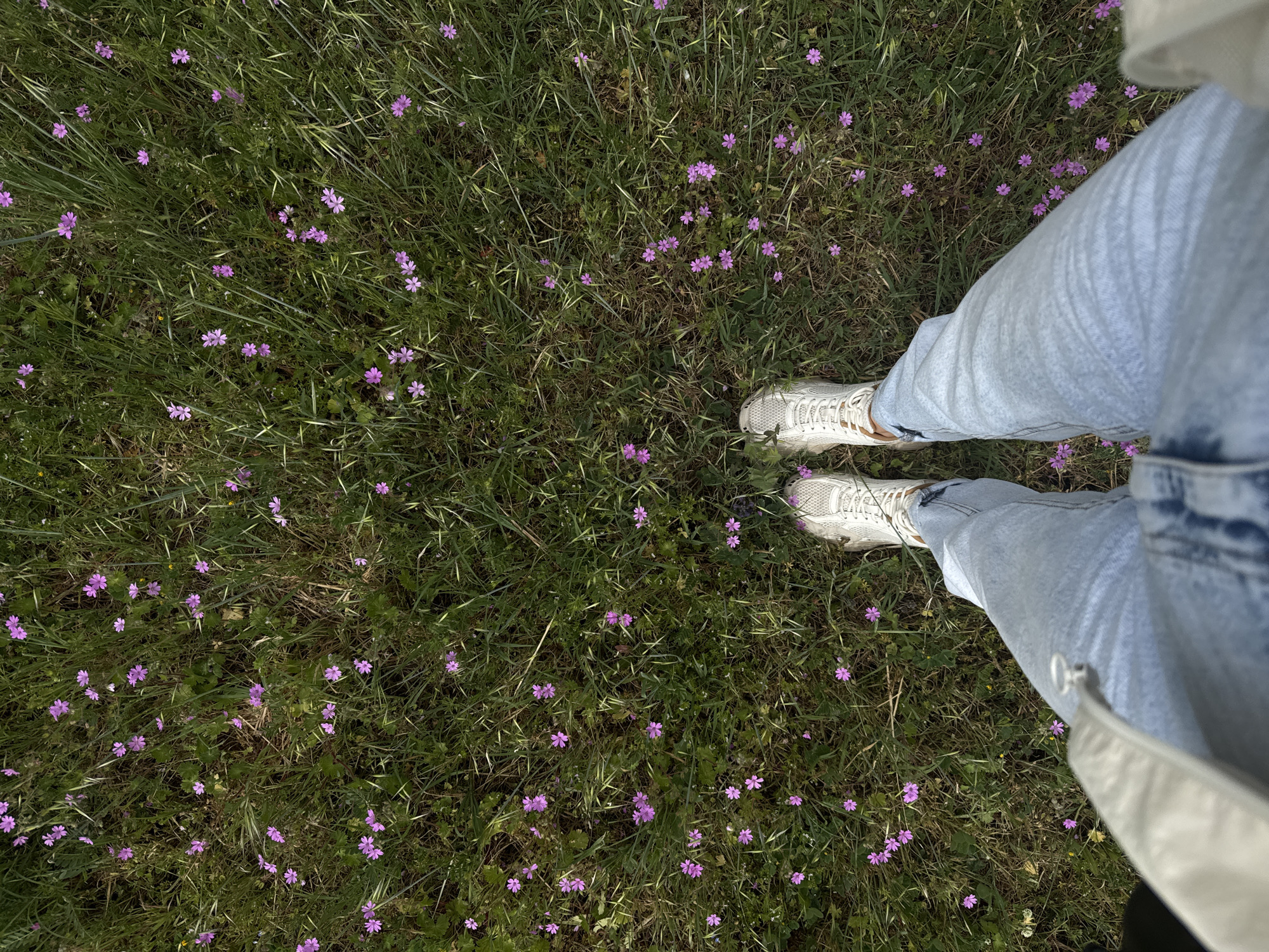 The image is a first-person, overhead shot taken outdoors. Two feet wearing white sneakers and light blue jeans are positioned in the center of the frame. The ground is covered in green grass interspersed with small purple flowers. The environment appears to be a grassy field or meadow in Bar, Montenegro. There are no other people or objects of significance visible in the image.