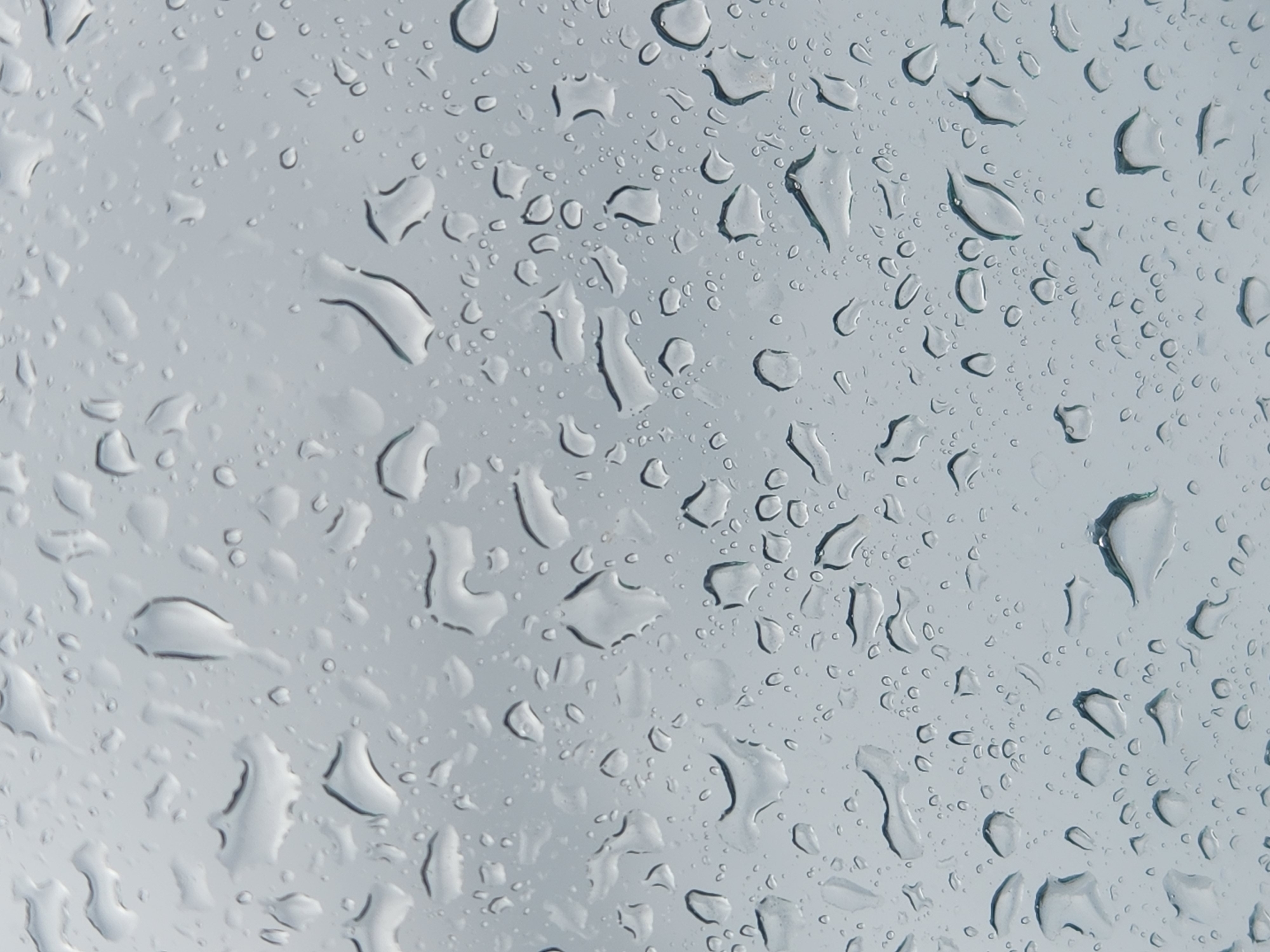 This is a close-up, abstract shot of raindrops on a window. The water droplets vary in size and shape, some are large and elongated, others small and circular. The background is a soft, blurred gray, suggesting an overcast sky or a dimly lit indoor environment. There are no people or specific objects visible that would indicate a particular location within the city of Orlando, United States of America. The image focuses solely on the natural phenomenon of water on a surface.