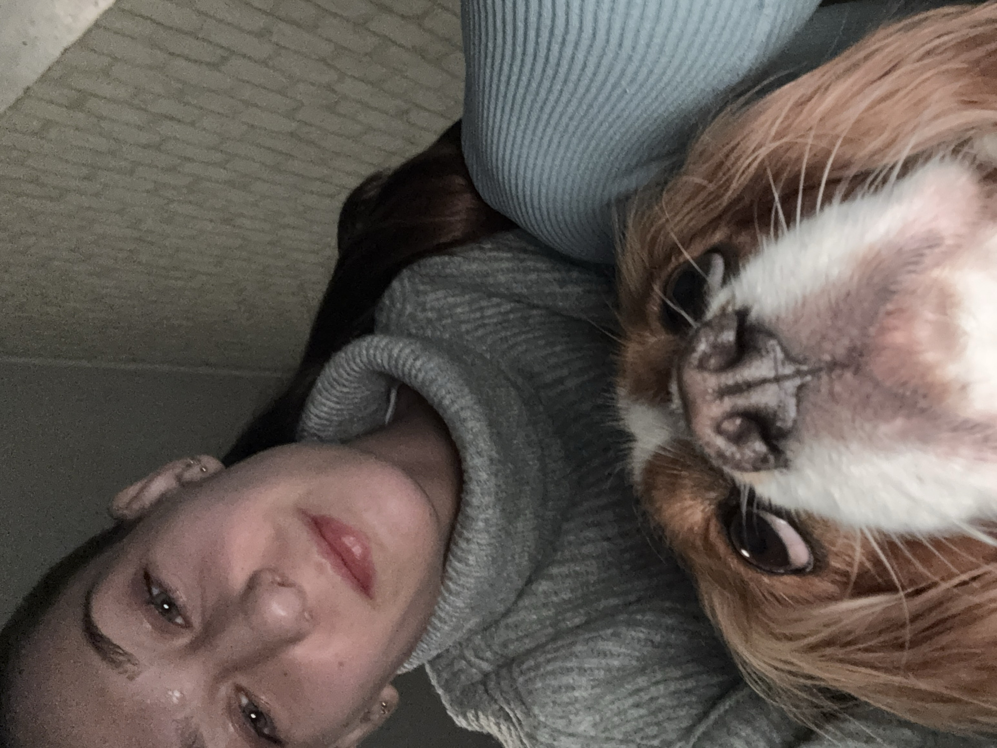 The image is a rotated, intimate close-up selfie featuring a woman and a dog, captured from a low angle. On the left, a woman with dark hair wears a grey knitted hooded sweatshirt, with a light blue ribbed top visible beneath. She has light eyes and a soft, slight smile on her glossed lips. The dog, positioned closely beside her on the right, appears to be a Cavalier King Charles Spaniel or a similar small long-haired breed. It has brown and white fur, prominent whiskers, and dark, earnest eyes, looking slightly upwards. The background is a blurry, light grey textured surface, resembling a brick or stone wall. The overall atmosphere conveys warmth and companionship. No specific time of day or weather can be determined from the indoor setting. There are no discernible location cues within the image itself to indicate Sofia, Bulgaria, and no visible text.
