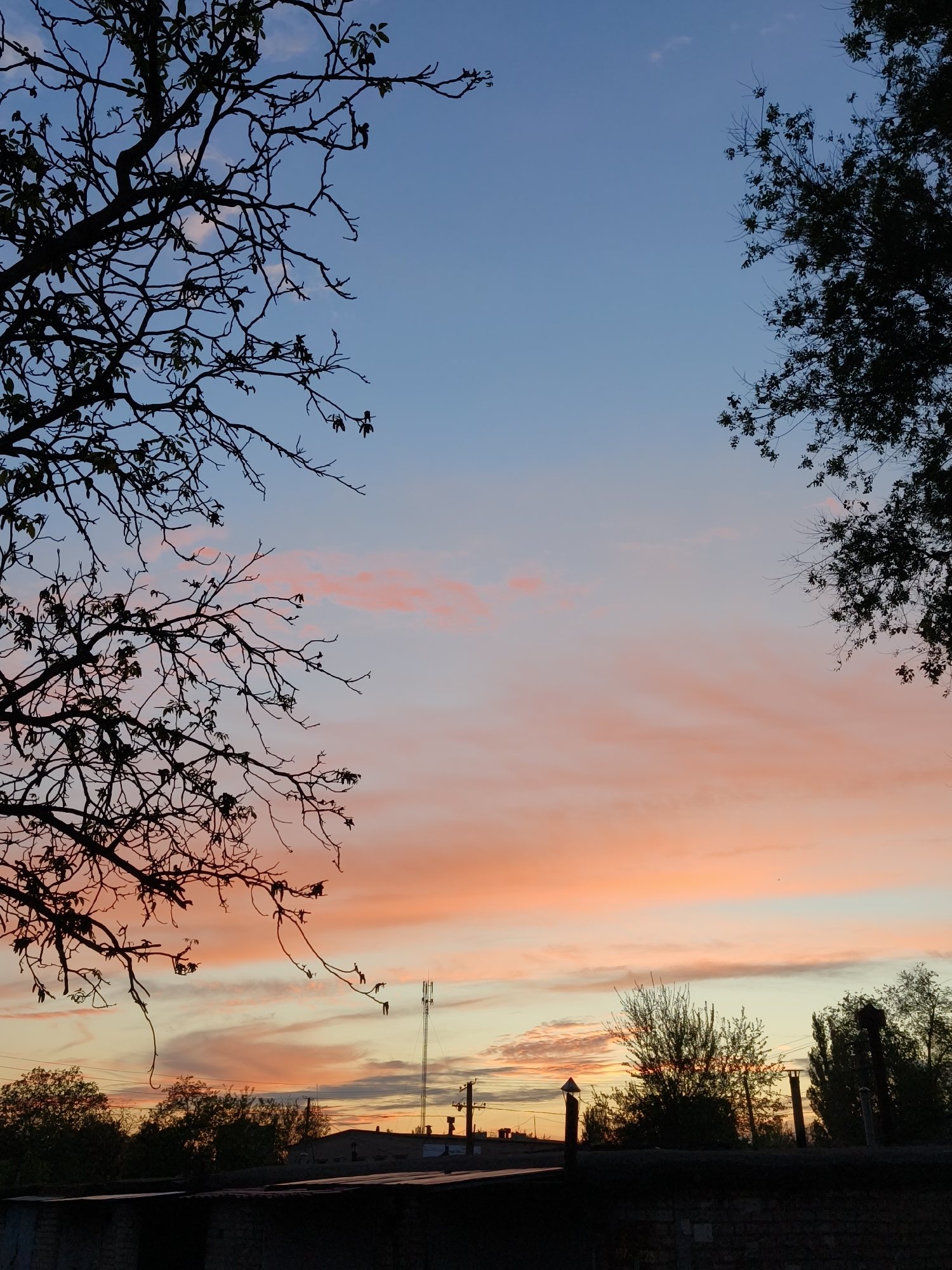 The image captures a sunset in Kryvyi Rih, Ukraine. The sky transitions from blue at the top to pink and orange towards the horizon. Silhouetted trees frame the view on either side. The horizon shows a darker landscape with buildings, trees, and a tall cell tower. In the foreground, a brick wall is visible.